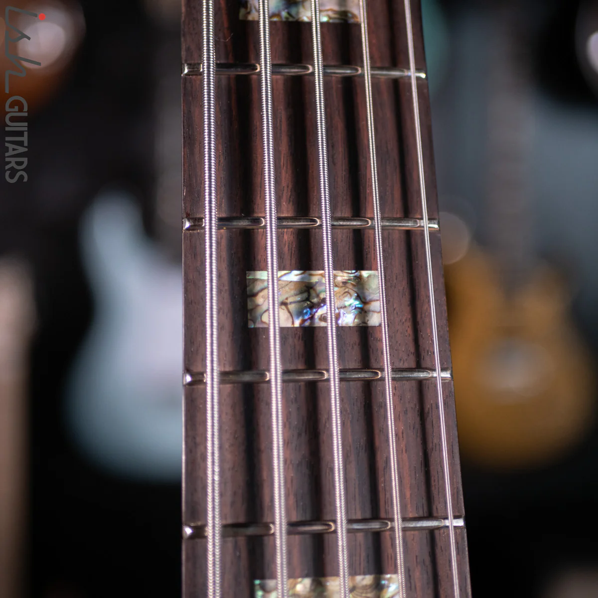 2021 Ritter Roya 5 String Bass Guitar Late Lounge Refurbished - Image 7
