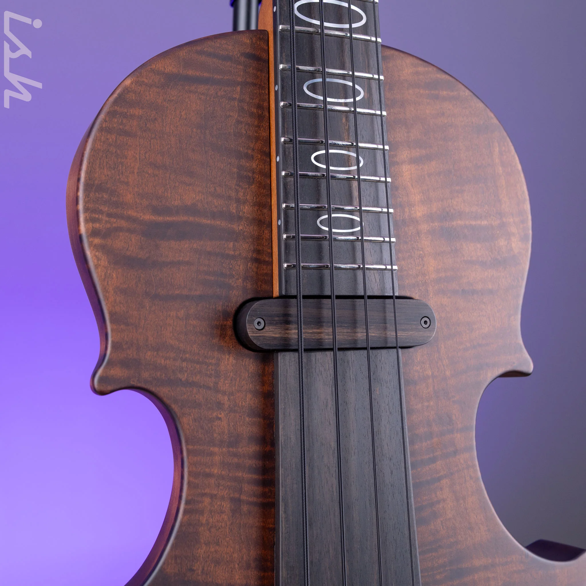 2021 Ritter Violin Bass Vintage Antonio - Image 4