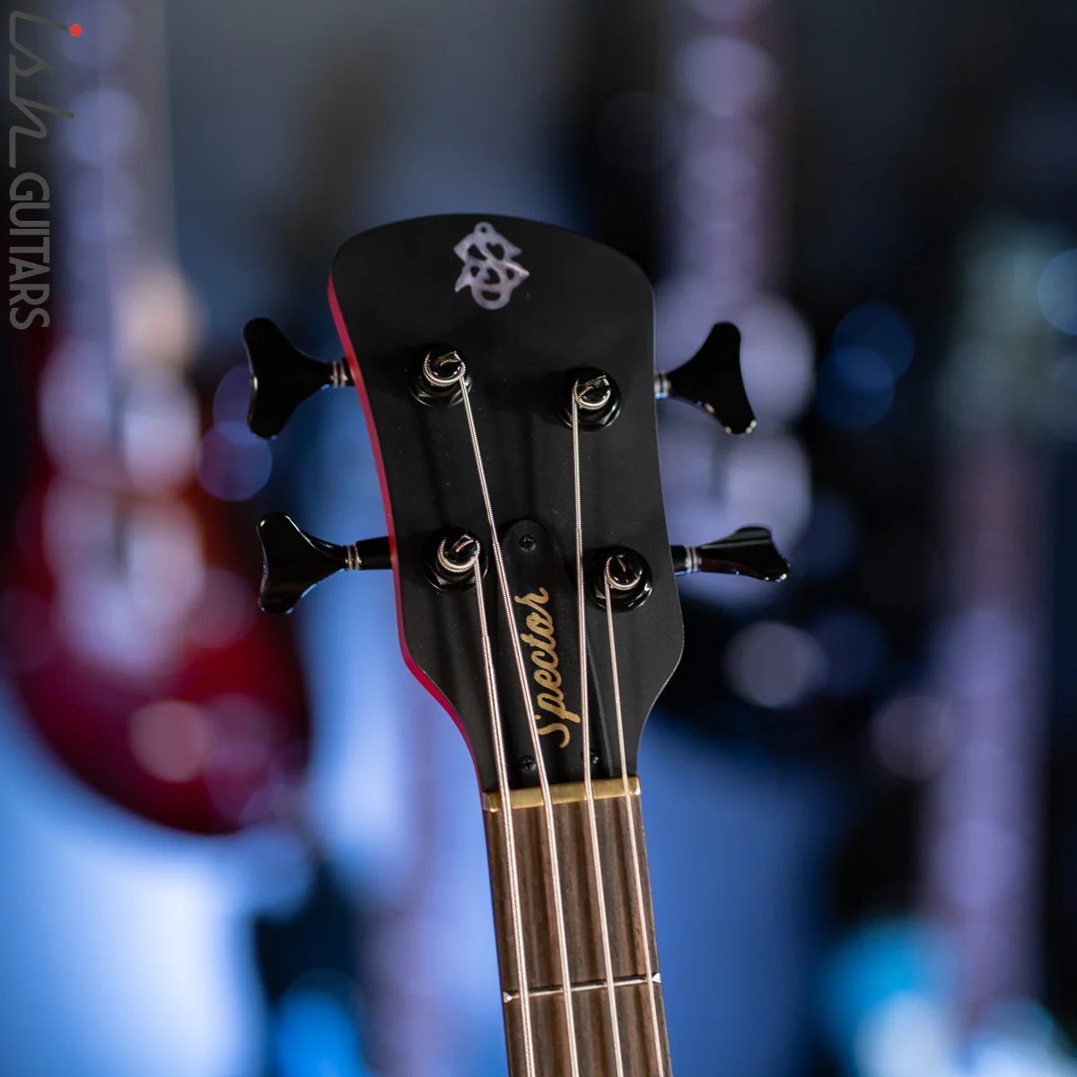 2021 Spector Euro 4X Sanded Black Cherry Matte - Image 5