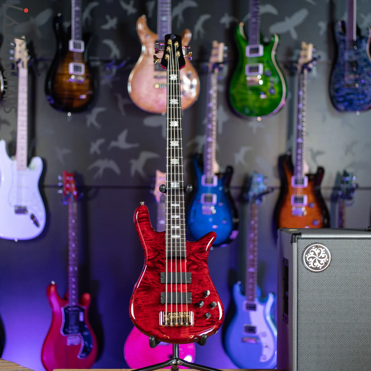Spector Euro5 LX 5-String Bass Black Cherry Gloss - Image 2