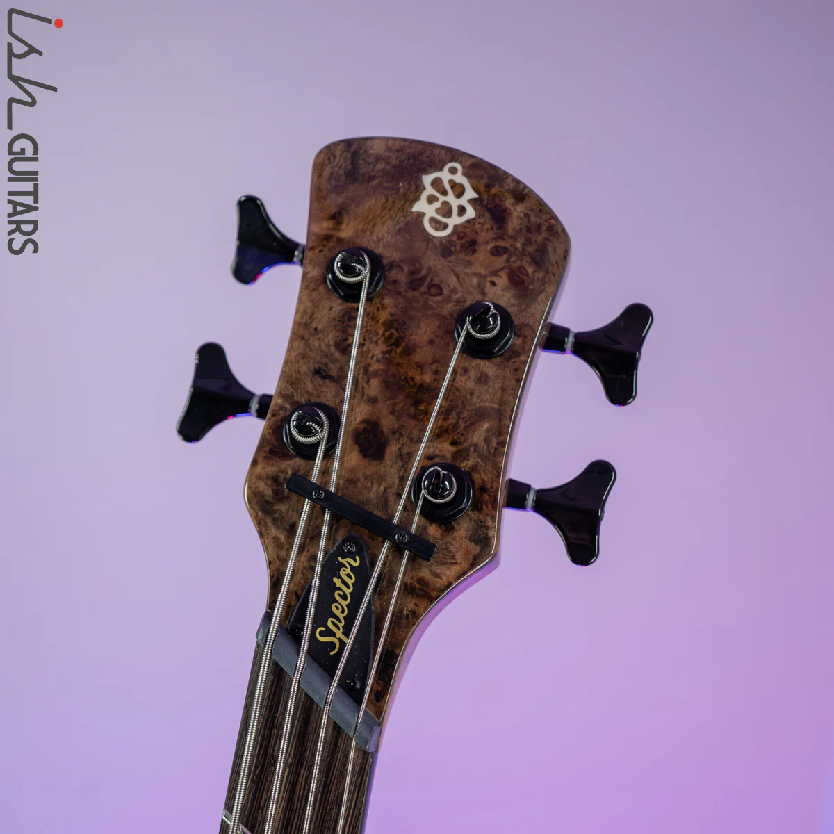 2021 Spector NS Dimension 4 Multi-Scale Super Faded Black Gloss - Image 7