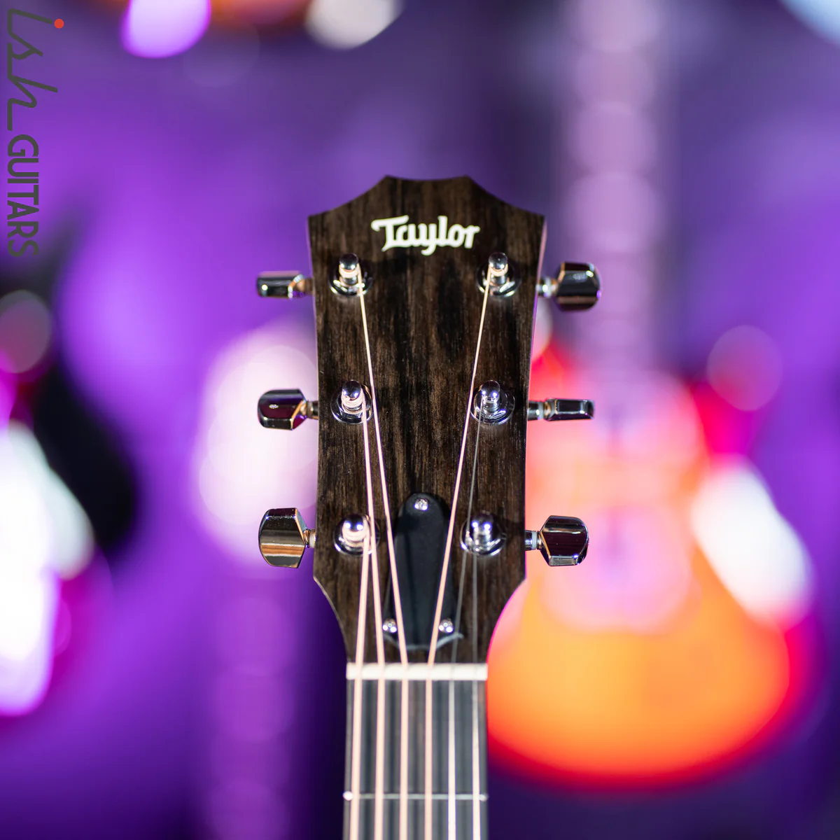 Taylor 210ce Rosewood/Spruce - Image 7