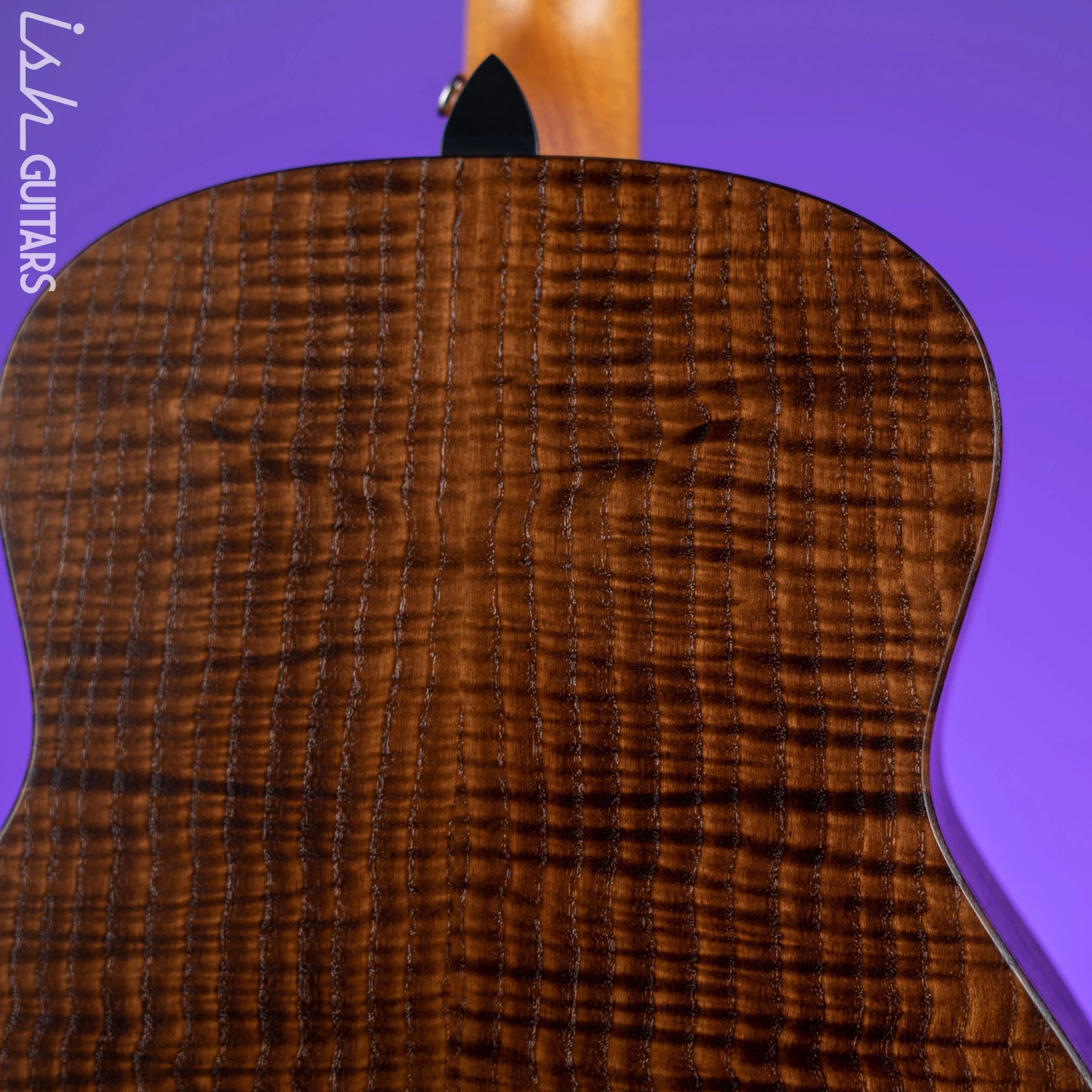 2021 Taylor GT Urban Ash/Spruce - Image 8