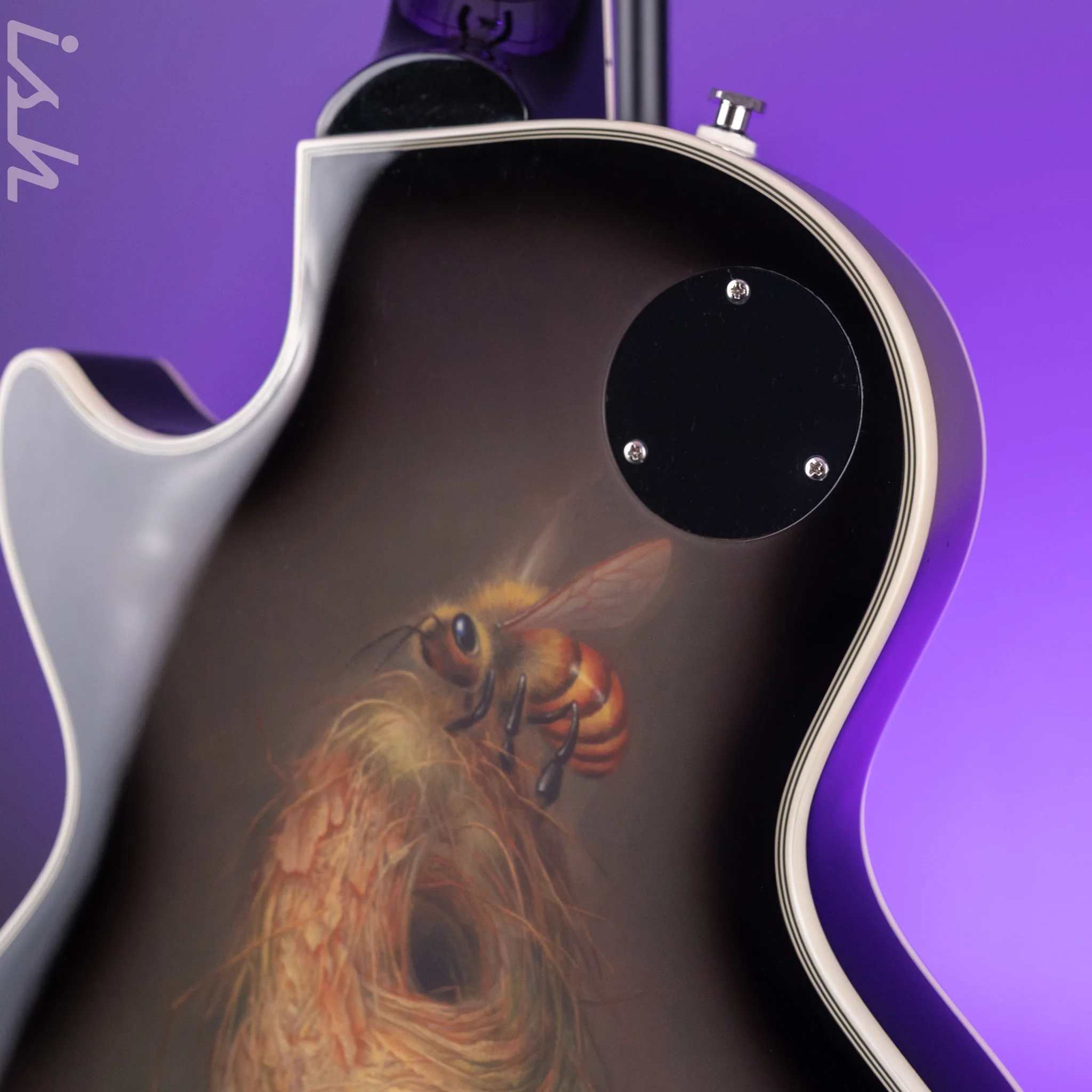 2023 Epiphone Les Paul Adam Jones Signature Queen Bee - Image 12