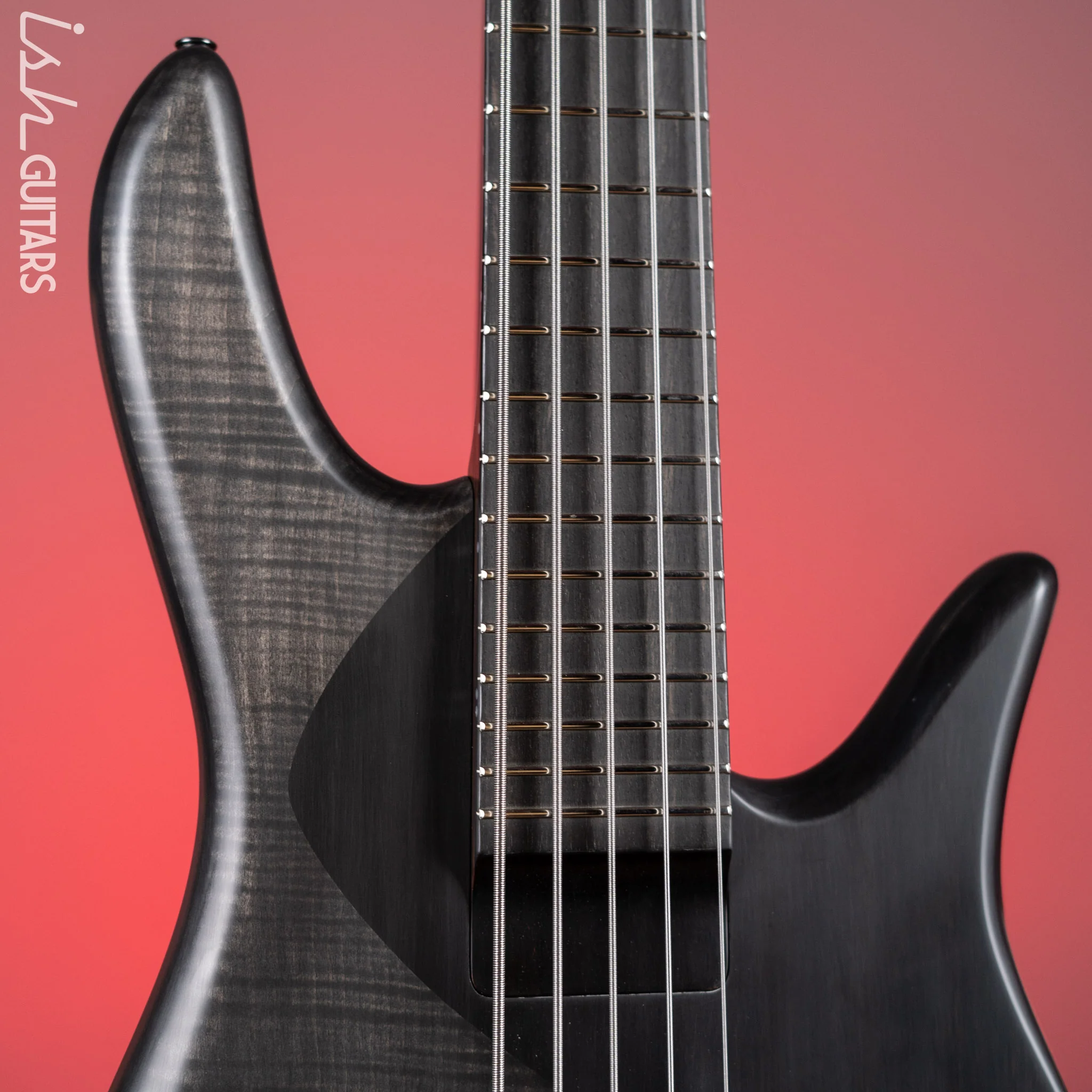 Fodera Ryan Martinie Signature 5-String Bass "Black Beauty" - Image 3