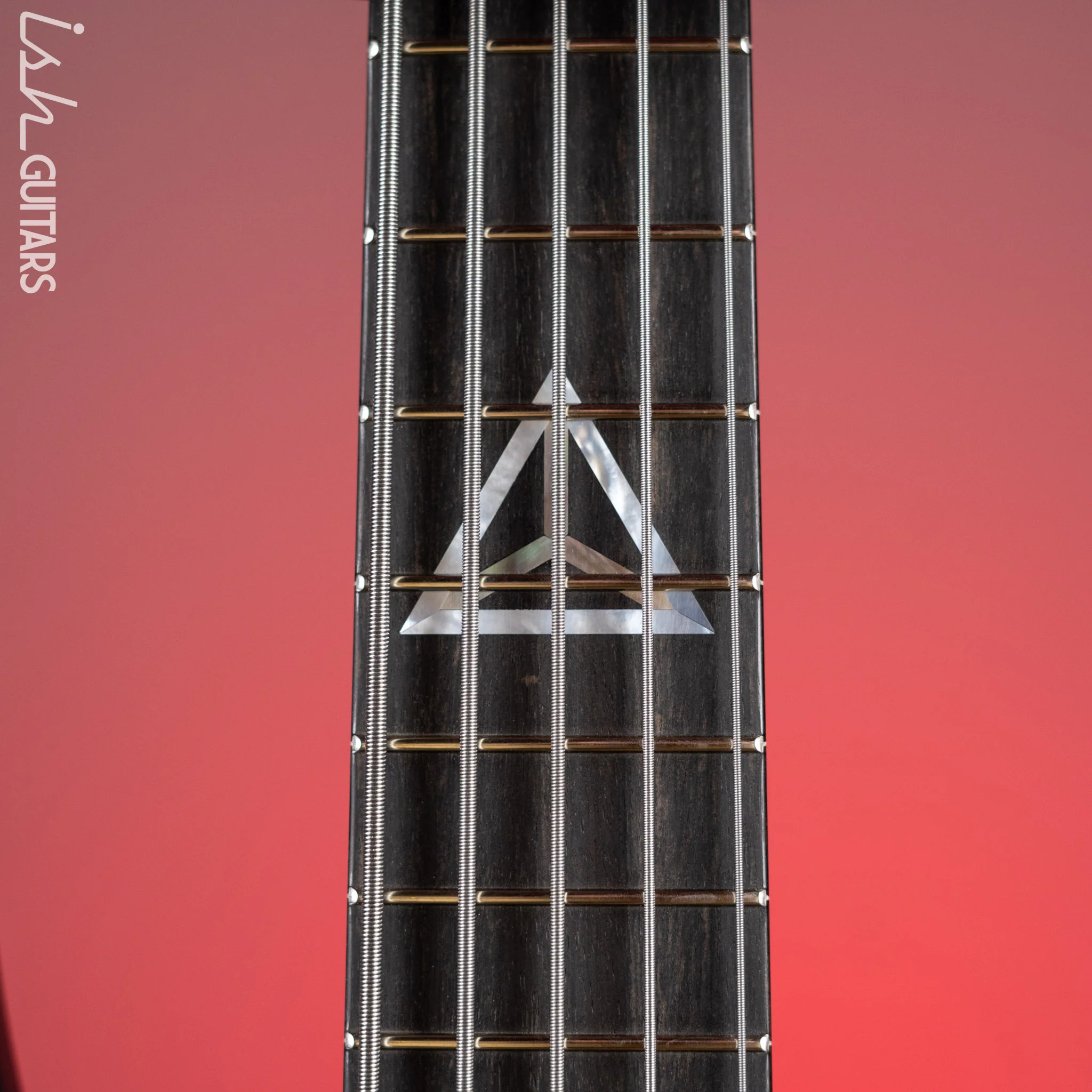 Fodera Ryan Martinie Signature 5-String Bass "Black Beauty" - Image 5