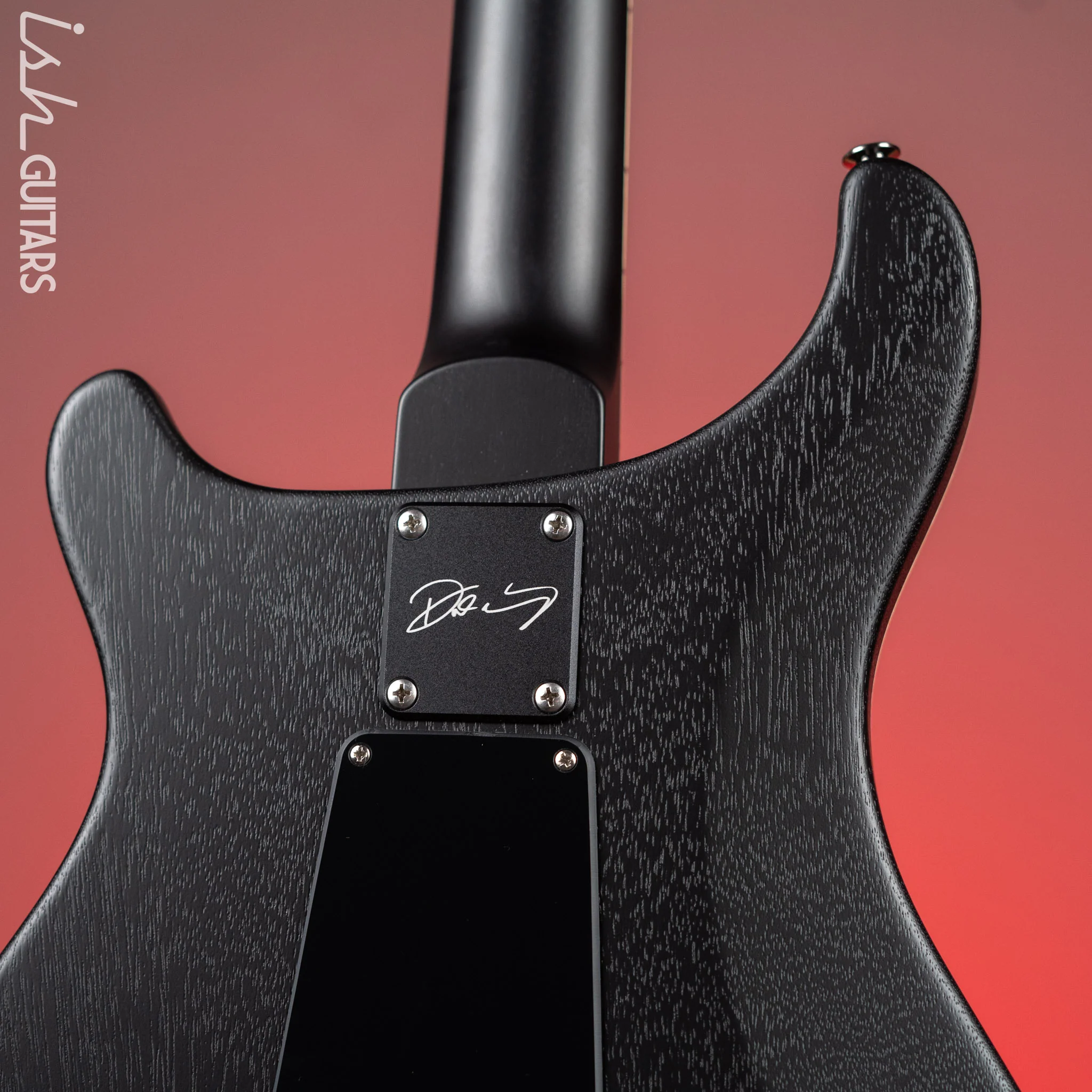 PRS Dustie Waring Signature CE 24 Floyd Gray Black Satin Nitro Demo - Image 9