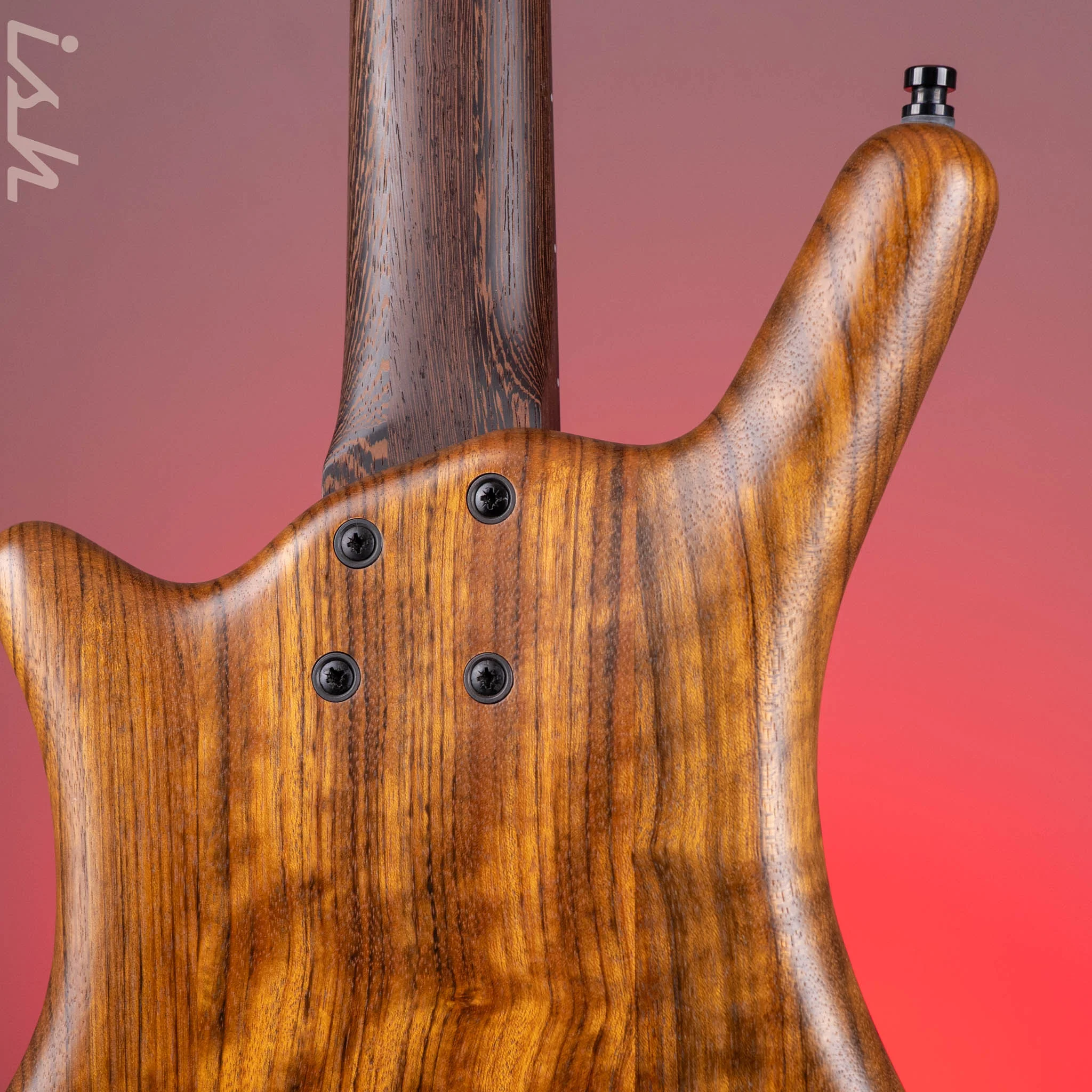 2023 Warwick Thumb BO Teambuilt Special Edition 4-String Bass - Image 11