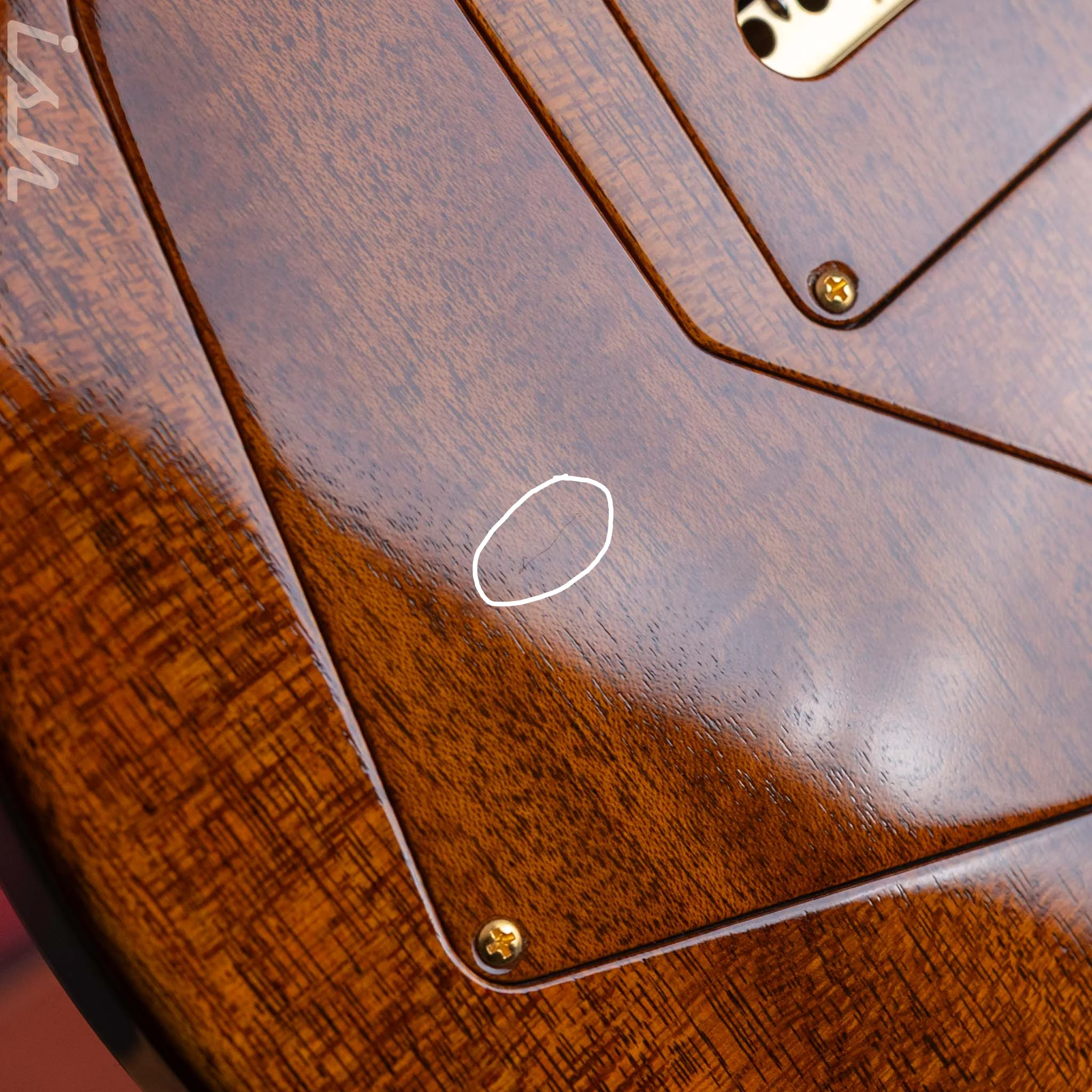 2024 PRS Private Stock Owls in Flight Custom 24 Retro Sour Grapes Brazilian Rosewood - Image 16