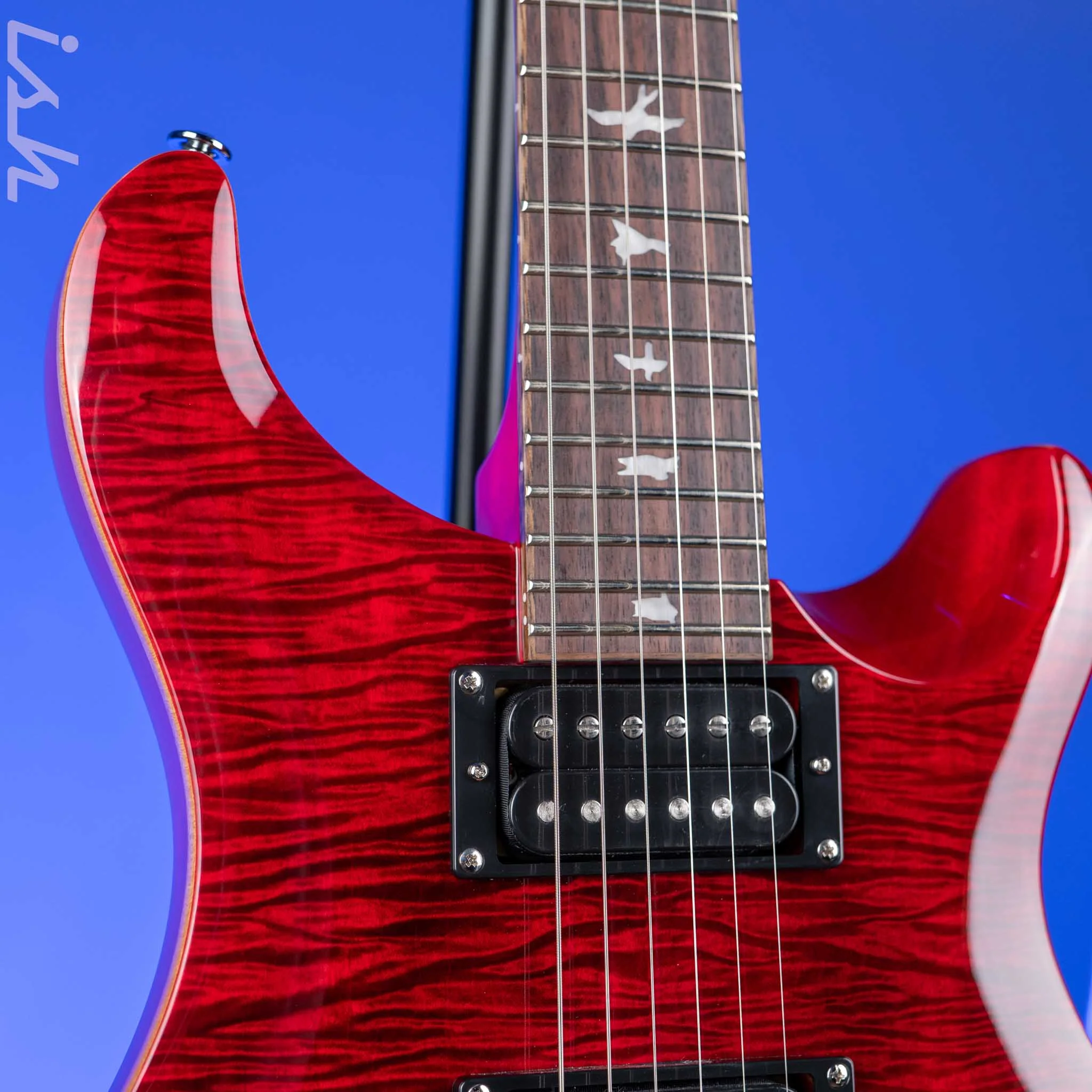 PRS SE Custom 24 Electric Guitar Ruby - Image 3