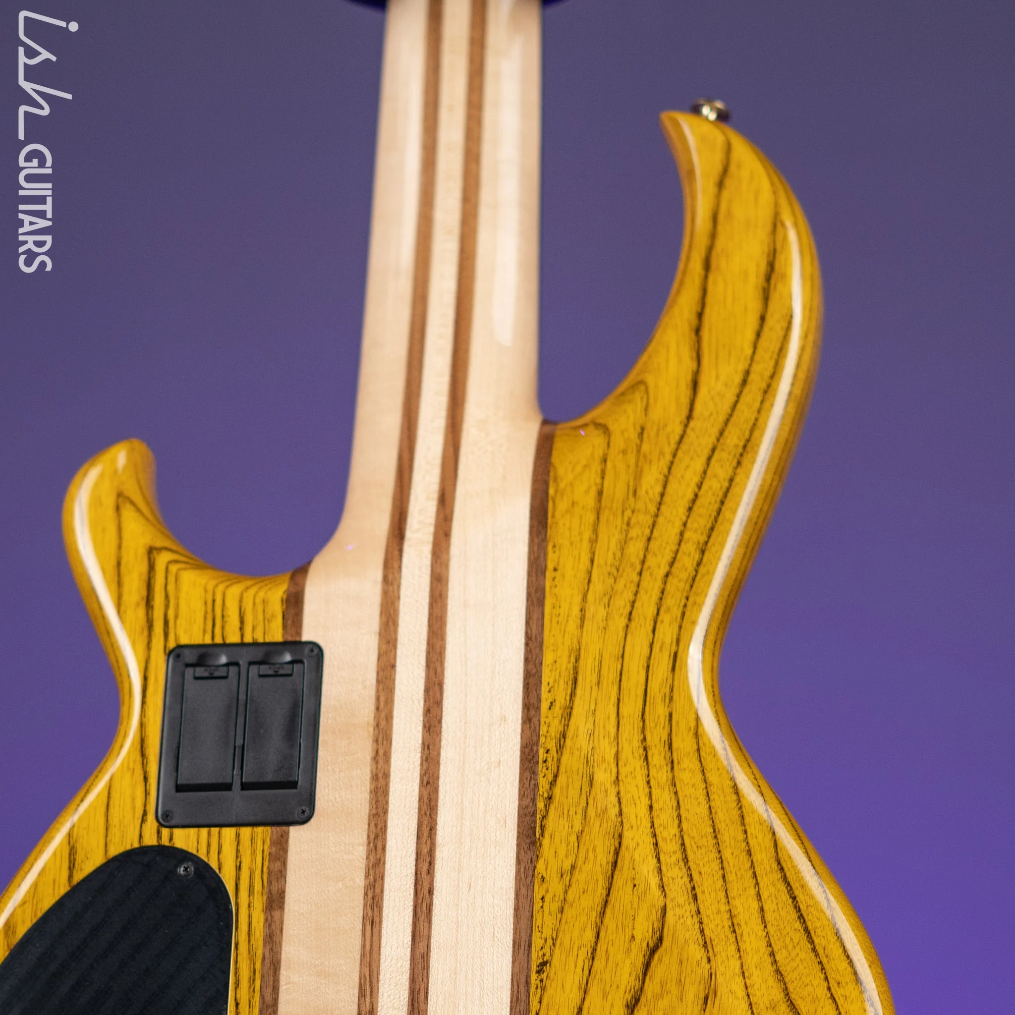 Aria Pro II SB-1000 5-String Bass Natural Oak - Image 8
