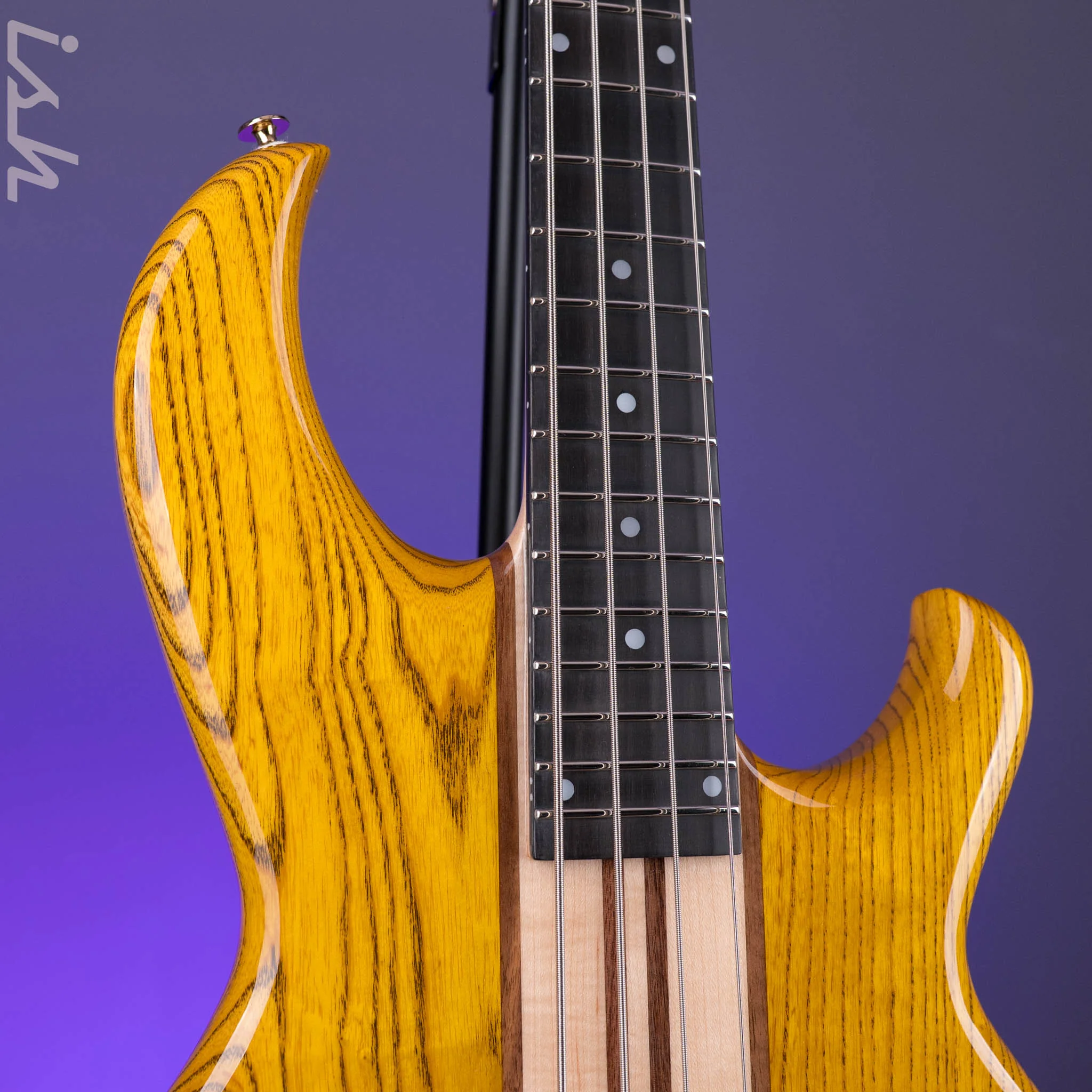Aria Pro II SB-1000B Oak - Image 4
