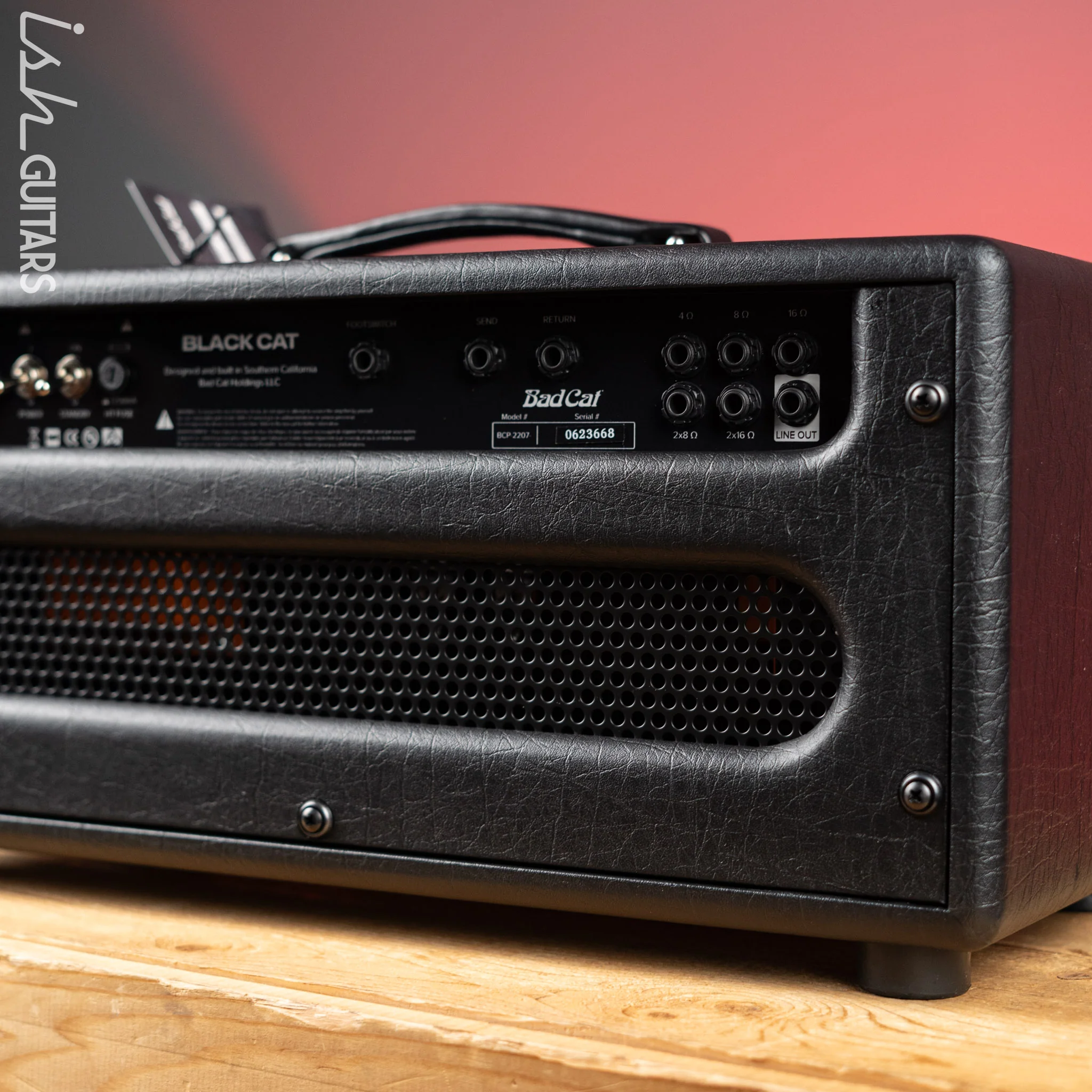 Bad Cat Black Cat 20W Guitar Amplifier Head Demo - Image 6