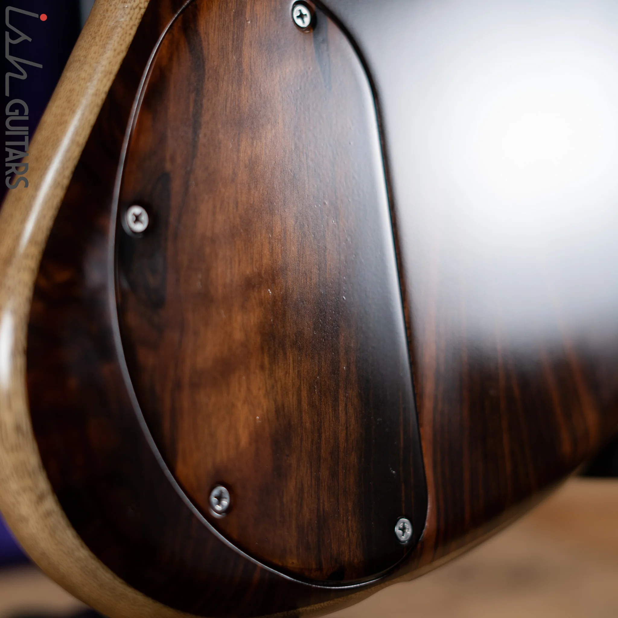 Benavente SCB Hollowbody Fretless 5 String Bass Natural - Image 12