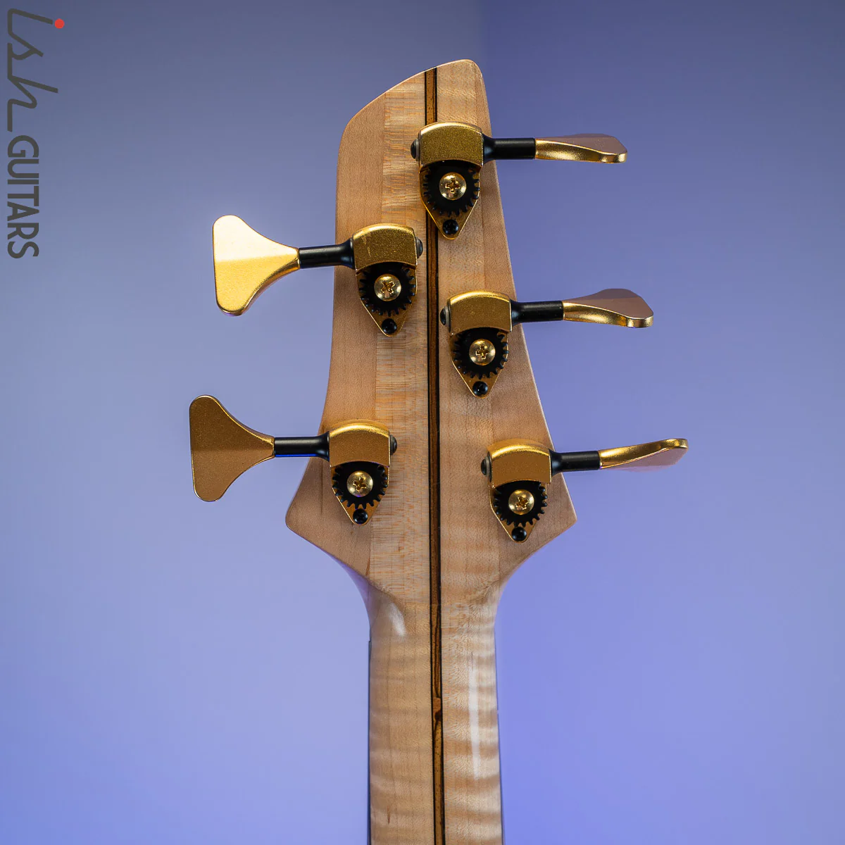 Benavente SCD #1 Buckeye Burl 5 String - Image 16