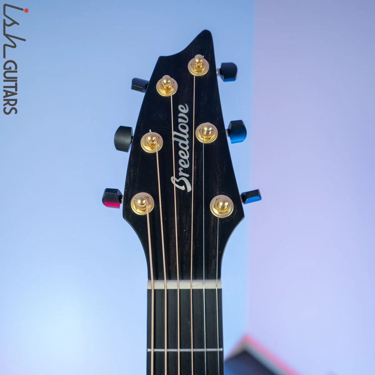 Breedlove Oregon Concert E Myrtlewood/Myrtlewood - Image 6