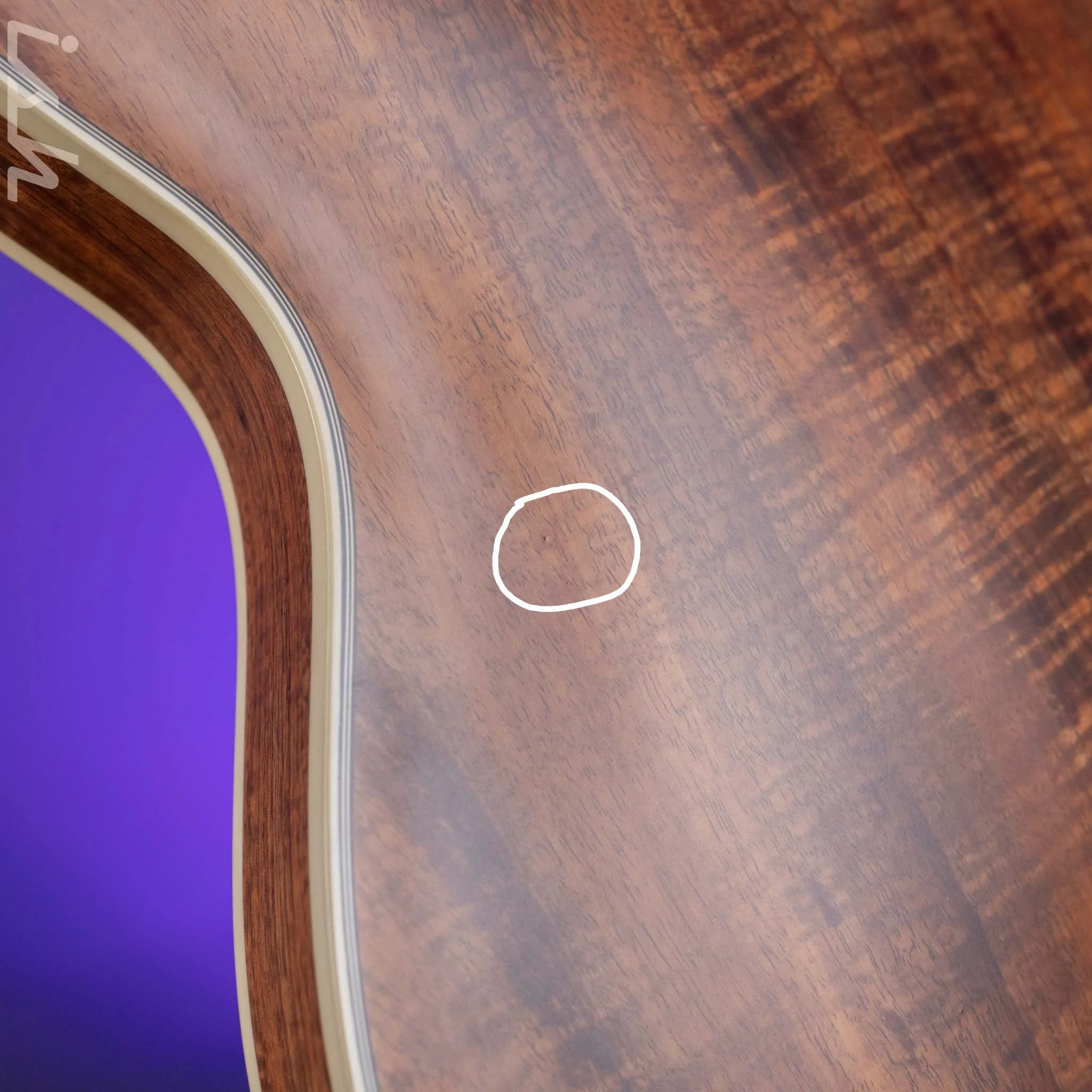Bruton Universal Electric Archtop Guitar Natural - Image 12