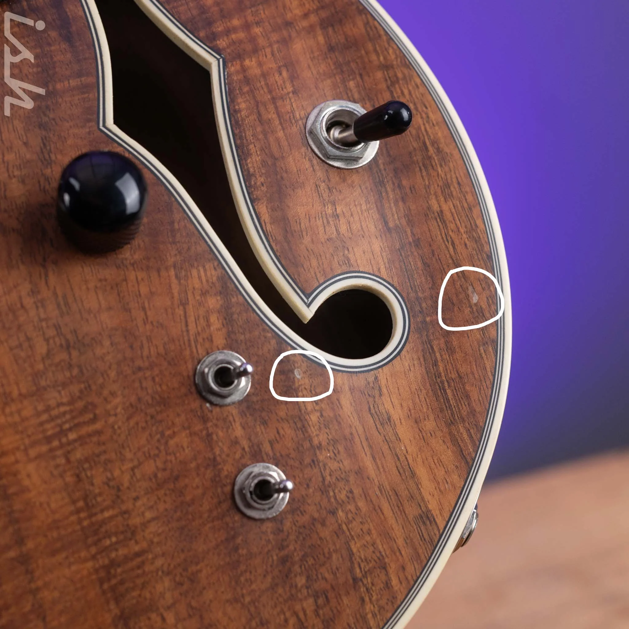 Bruton Universal Electric Archtop Guitar Natural - Image 6