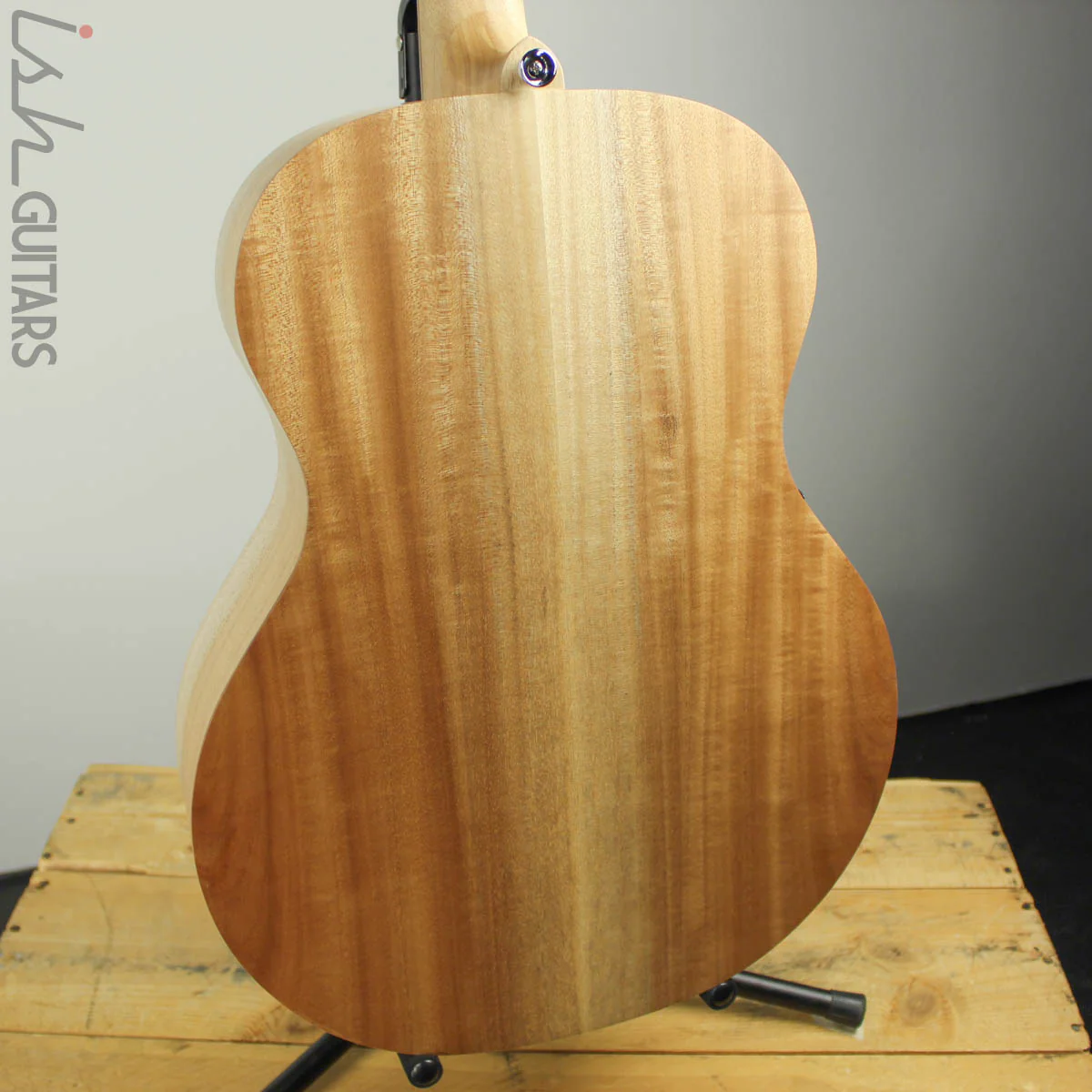 Cole Clark Angel ANIE-BM Bunya Top with Queensland Maple Back and Sides - Image 9