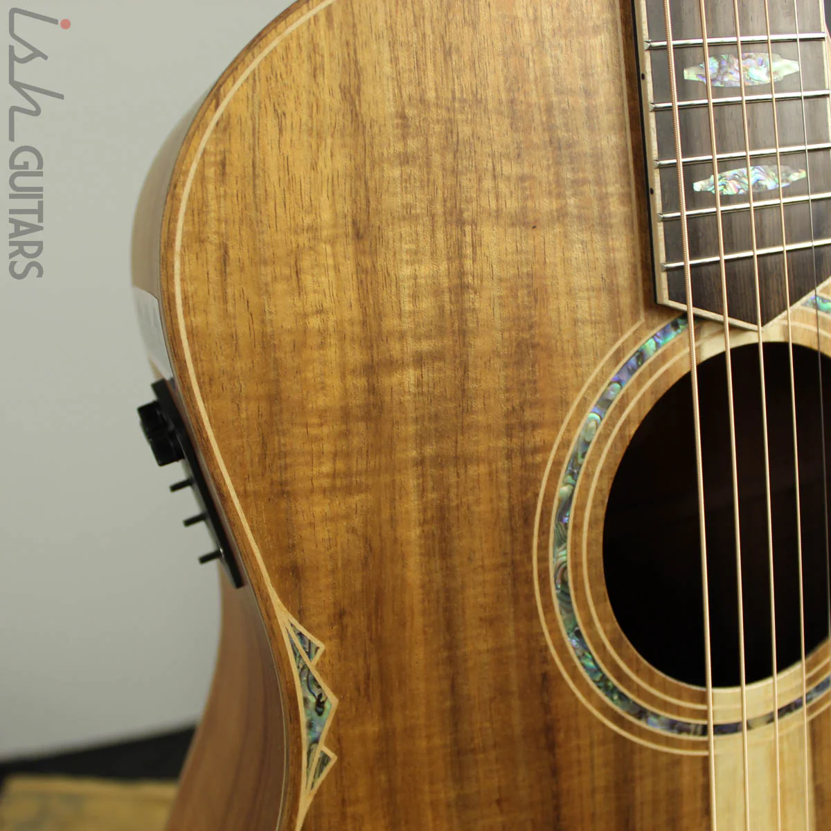 Cole Clark Fat Lady FL3EC-BLBL Blackwood/Blackwood - Image 5