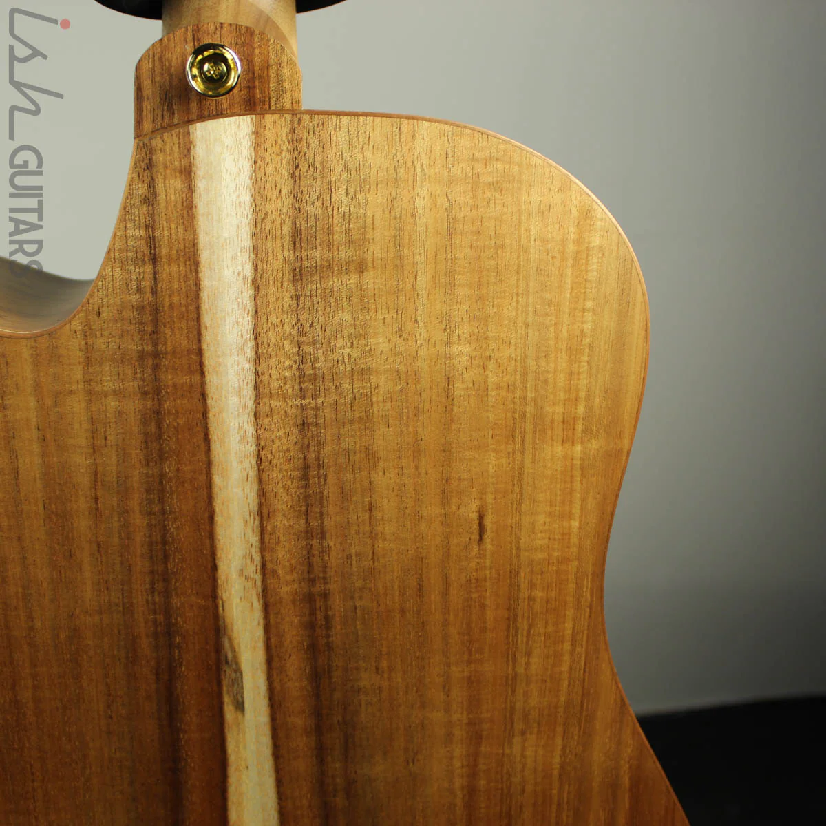 Cole Clark FL3EC-COLB Cedar of Lebanon Top with Blackwood Back and Sides - Image 11