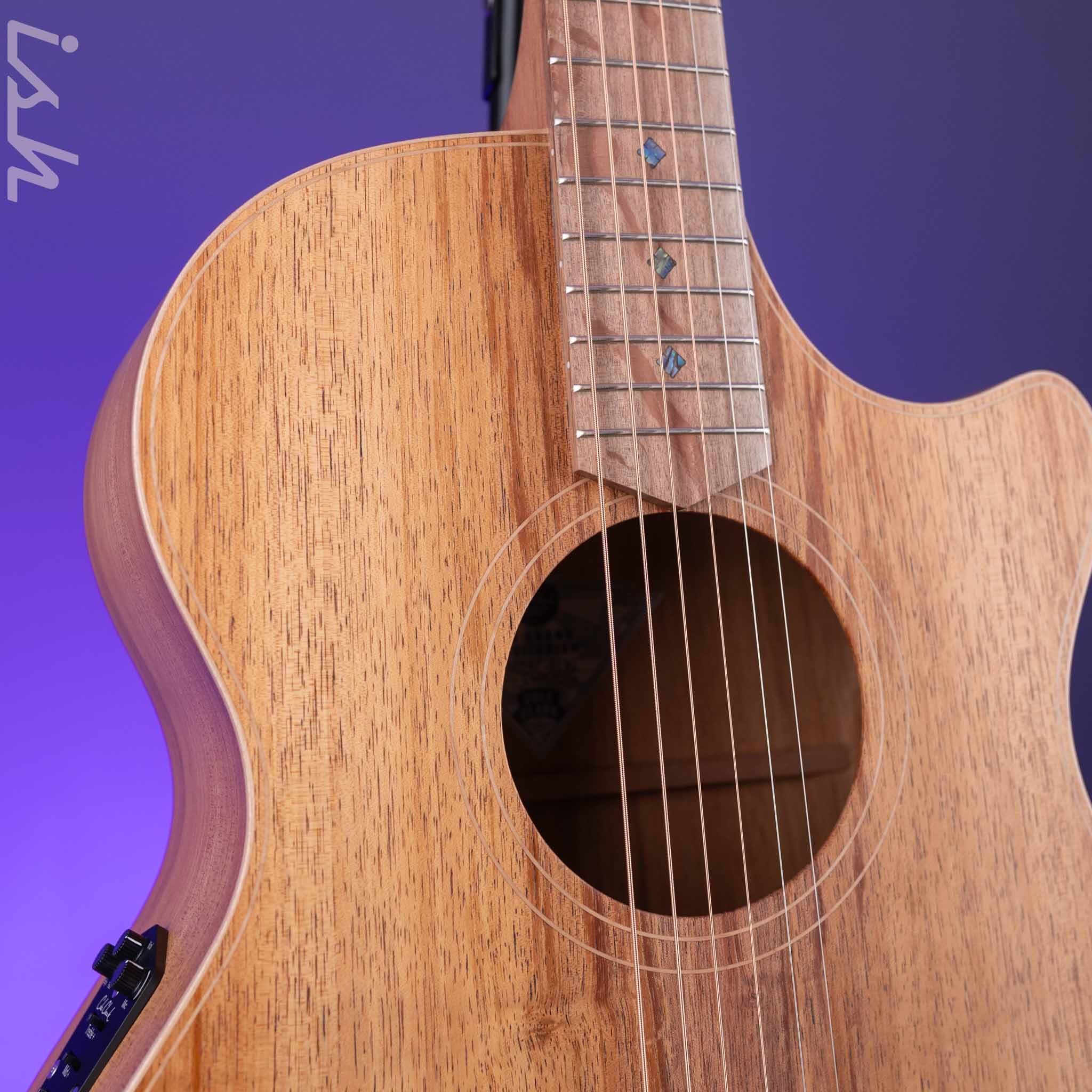 Cole Clark Grand Auditorium Acoustic-Electric Guitar AN2EC Blackwood - Image 4