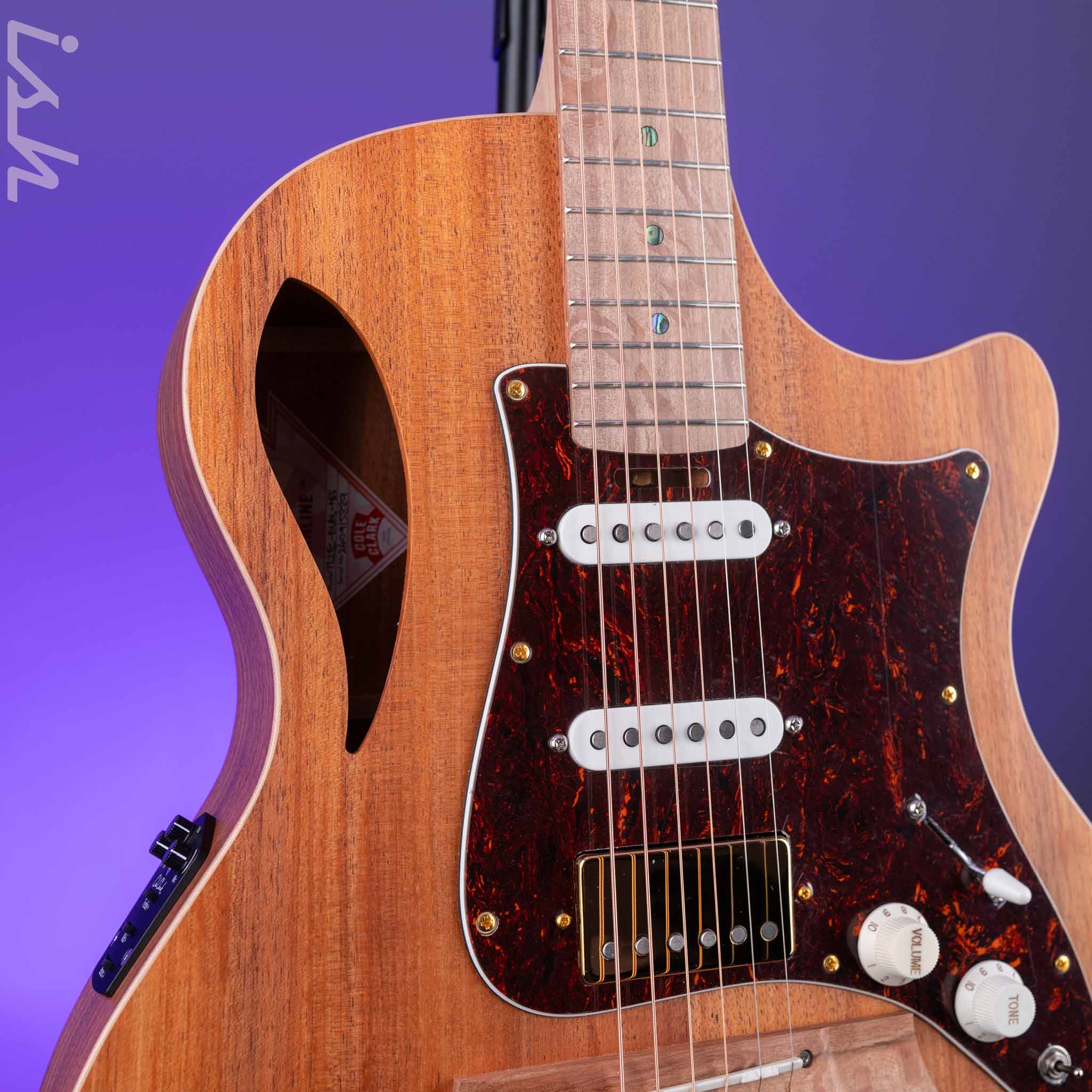 Cole Clark TL2EC-BLBL-HSS Acoustic-Electric Guitar Blackwood - Image 4
