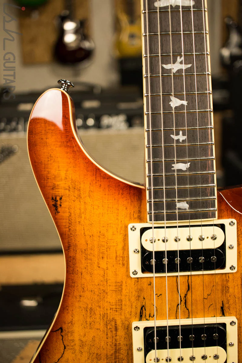 2018 Paul Reed Smith PRS SE Custom 24 - Spalted Maple - Image 3