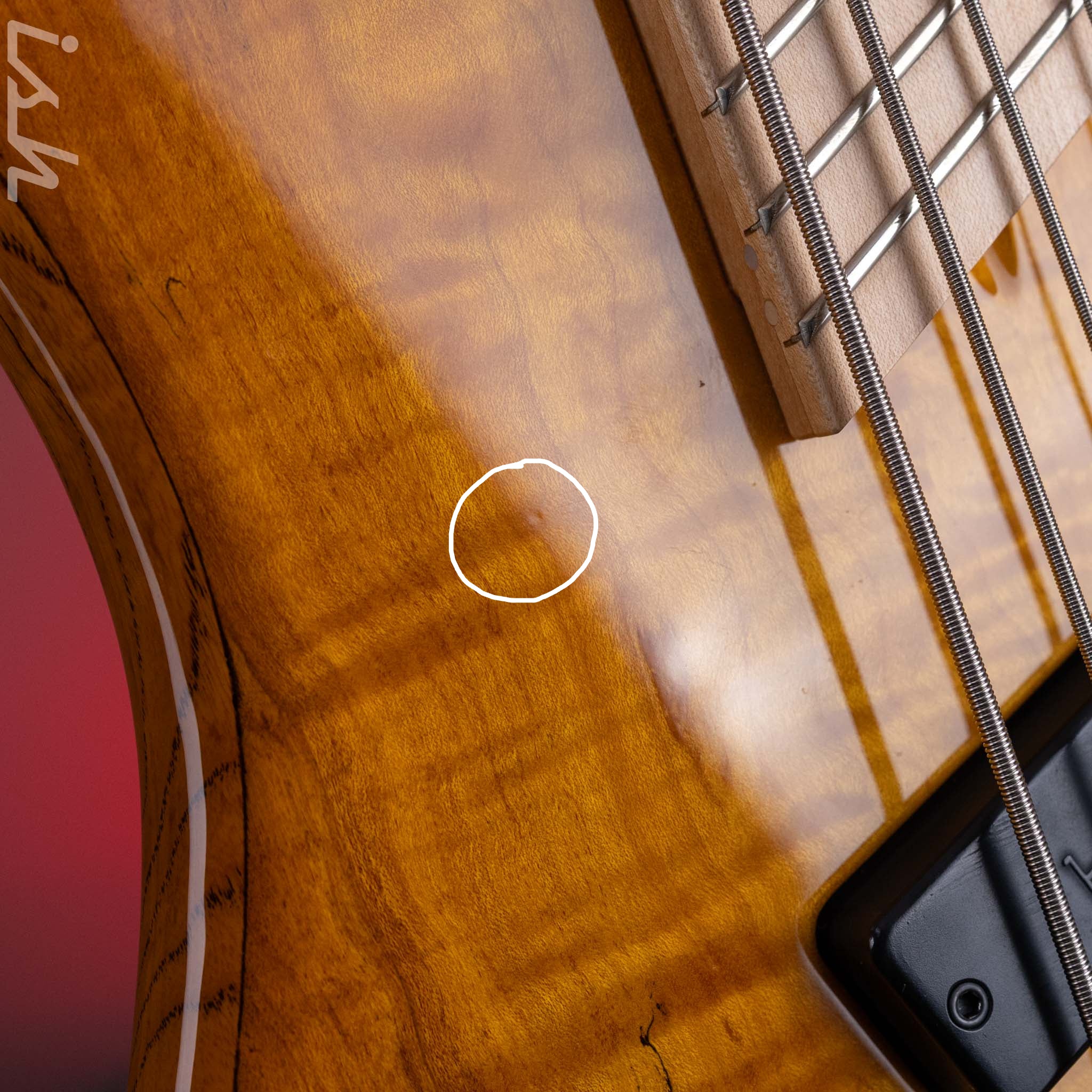 2003 Dingwall Z2 5-String Bass Spalted Maple w/ Bartolini Pickups - Image 8