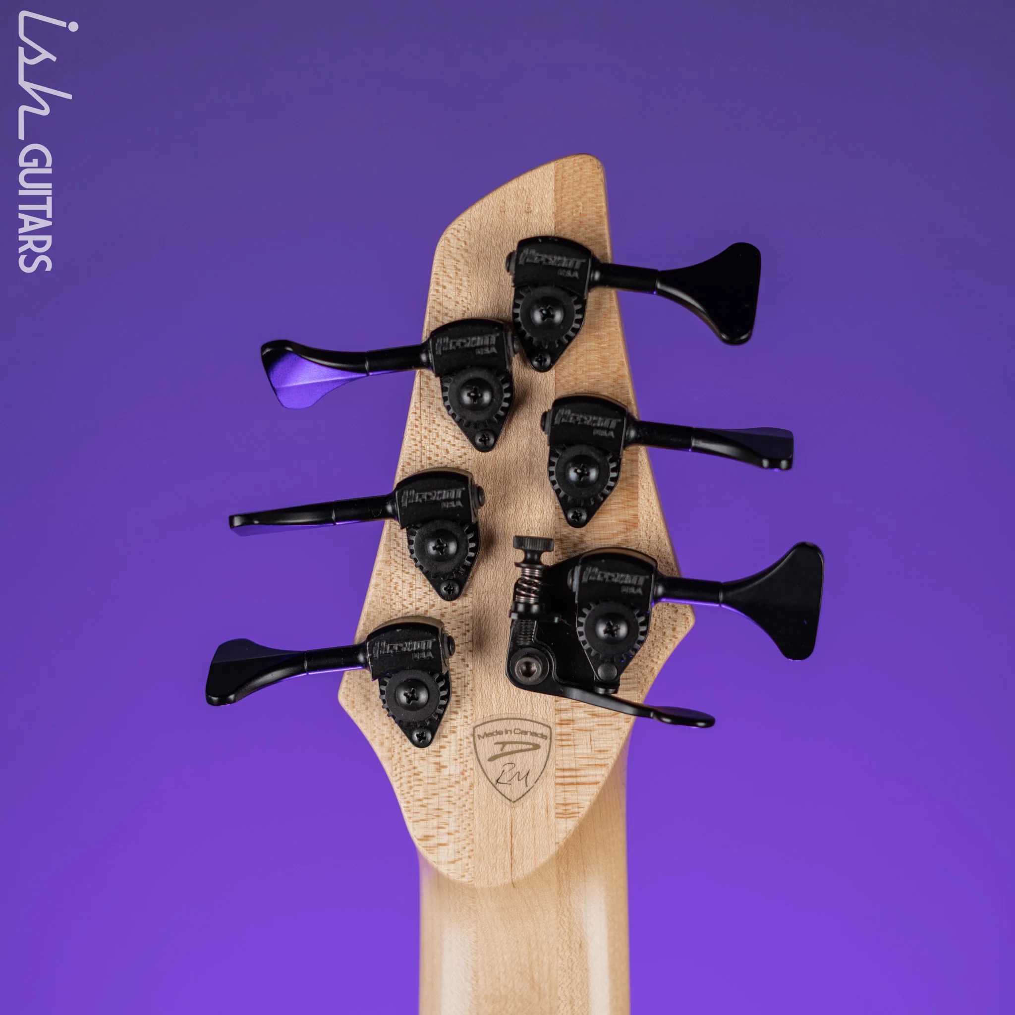 Dingwall Afterburner II Semi-Hollow 6-String Bass Natural - Image 14