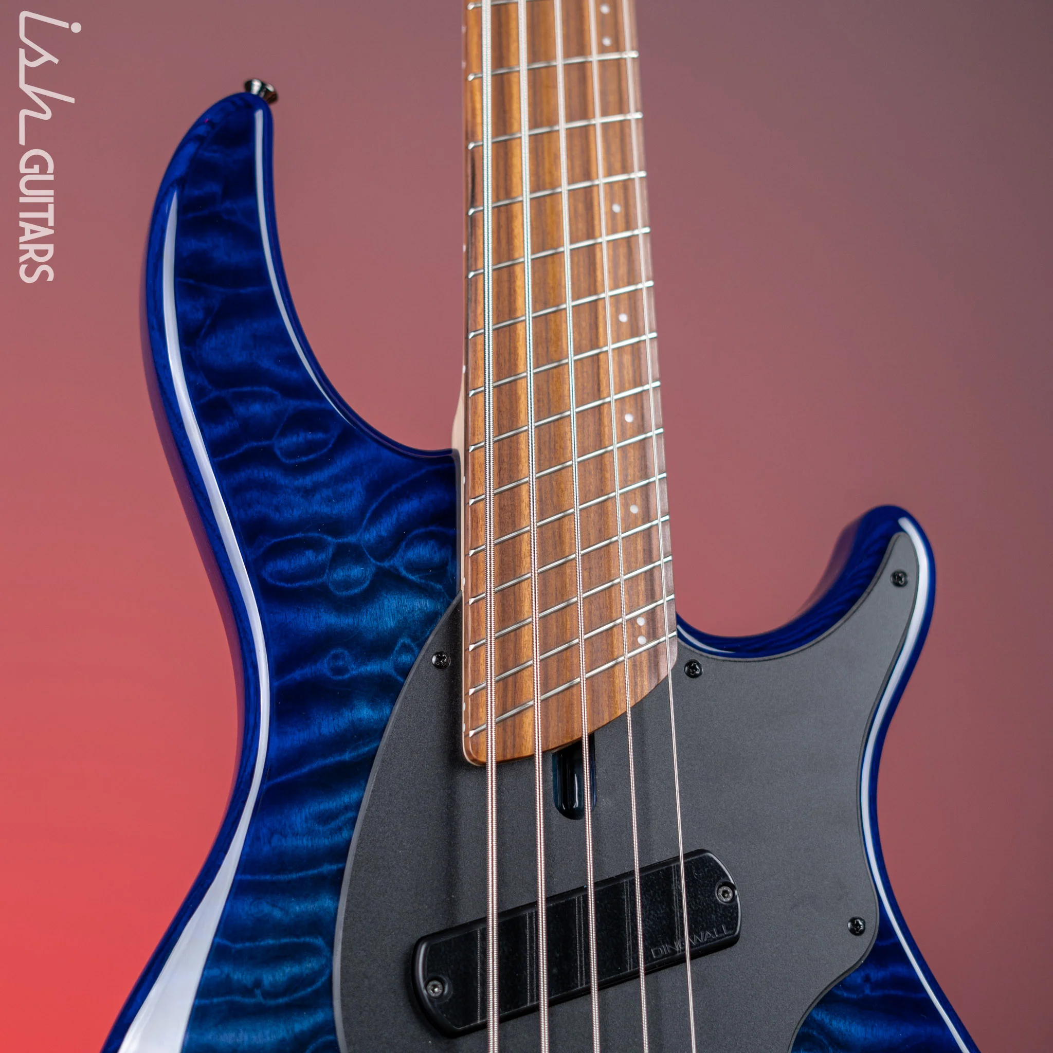 Dingwall Combustion 2 PUP 5-String Bass Indigoburst Gloss Pau Ferro Fretboard - Image 3