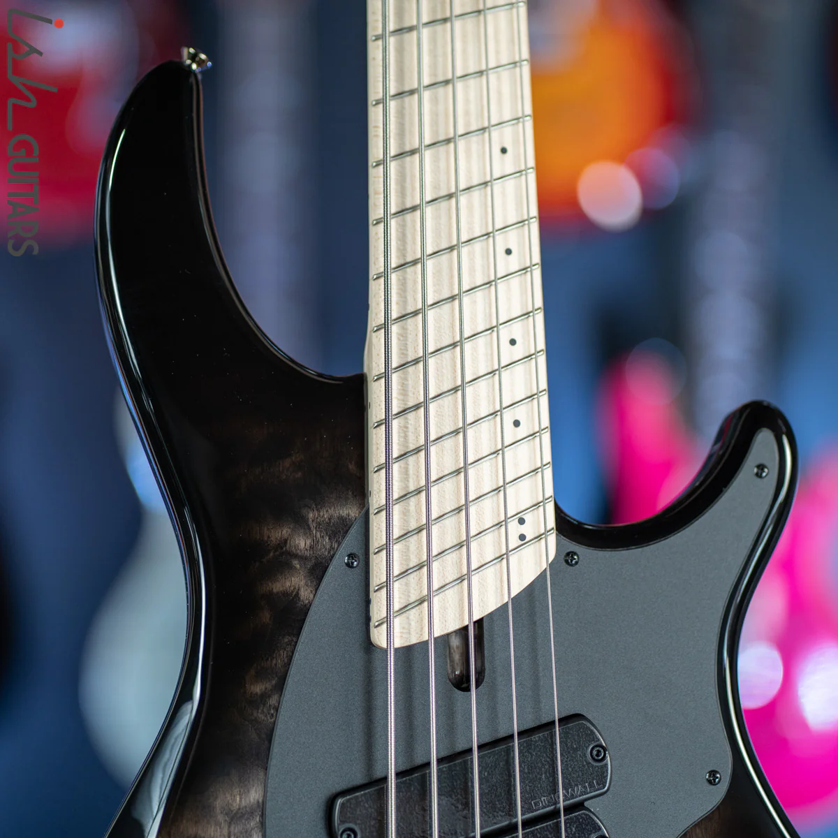 Dingwall Combustion 5 String Bass 2-Tone Blackburst - Image 3