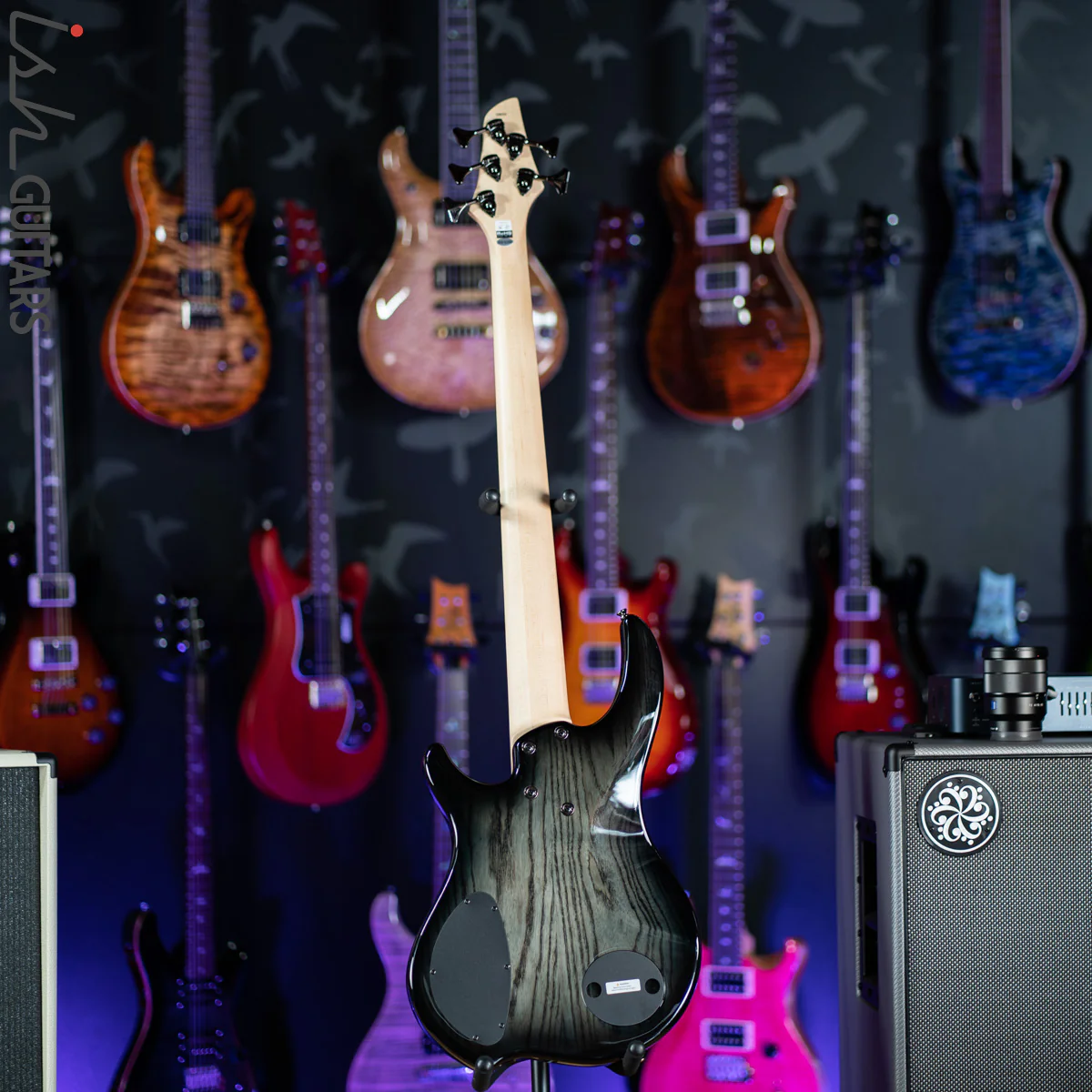 Dingwall Combustion 5 String Bass 2-Tone Blackburst - Image 7