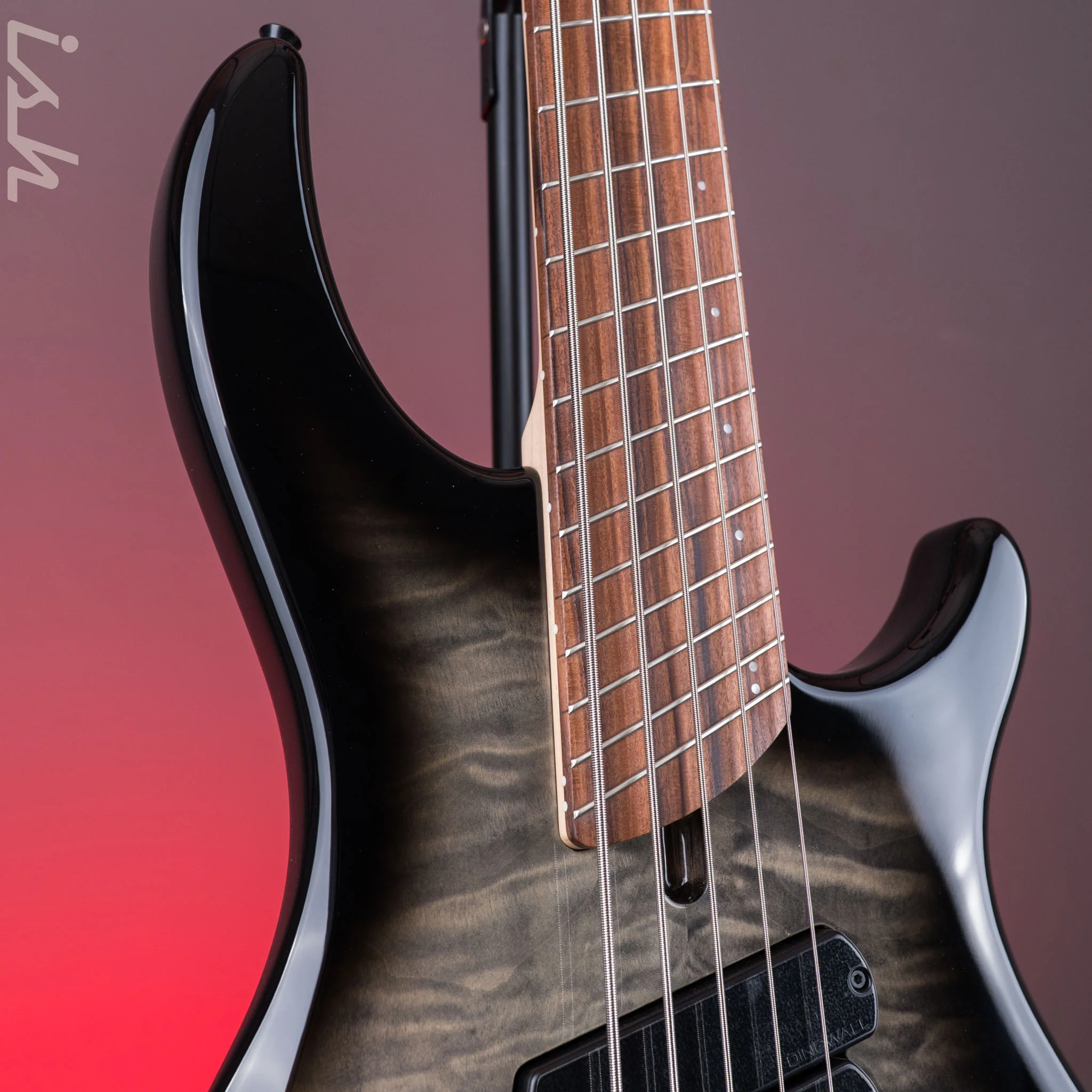 Dingwall Combustion 5-String Bass 2-Tone Blackburst Pau Ferro Fretboard - Image 4