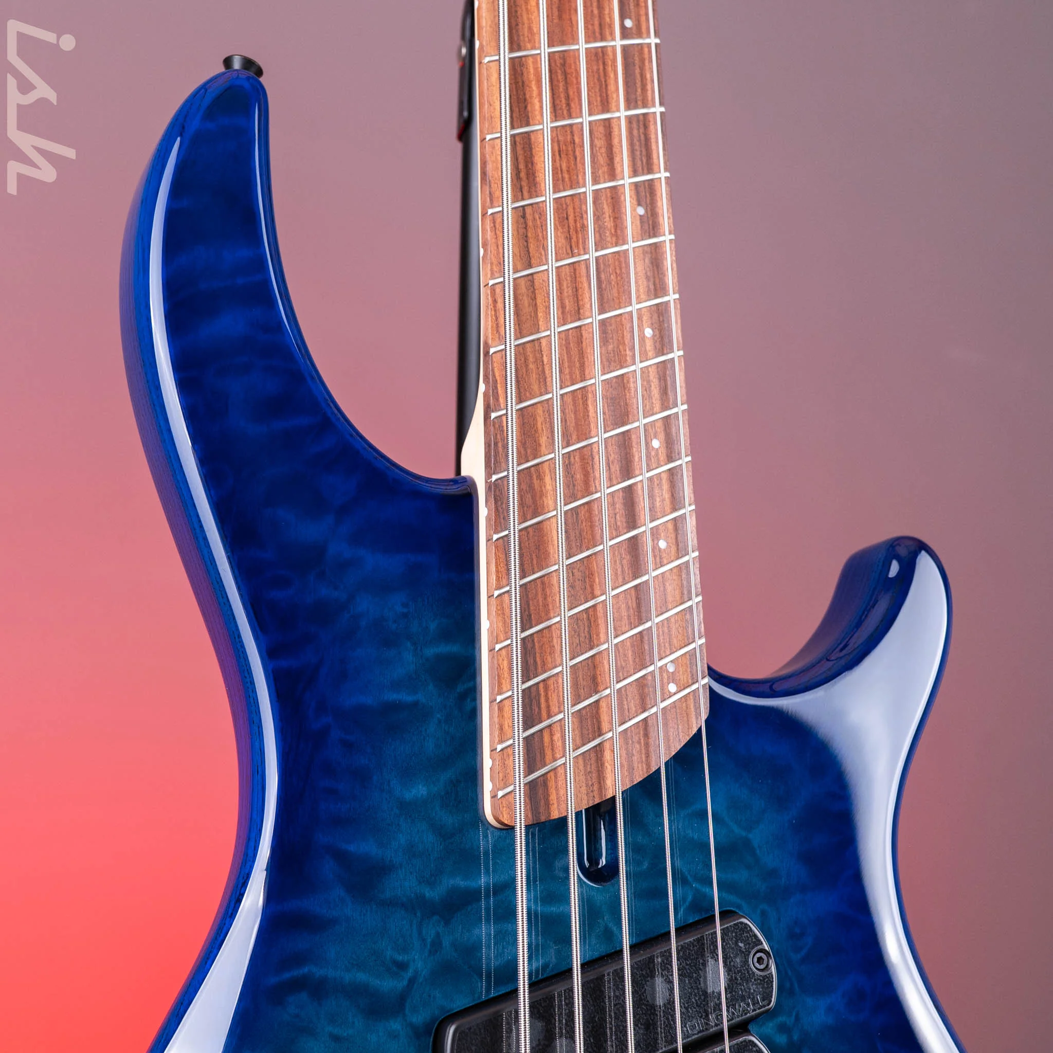 Dingwall Combustion 5-String Bass Indigoburst Pau Ferro Fretboard - Image 4