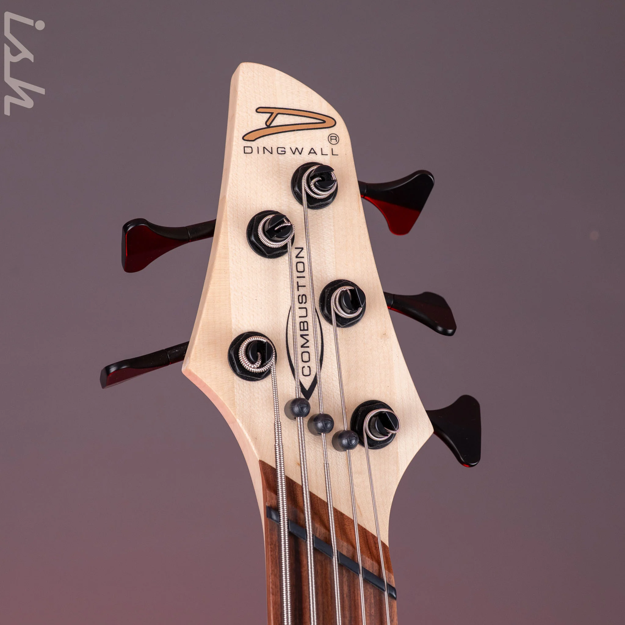 Dingwall Combustion 5-String Bass Indigoburst Pau Ferro Fretboard - Image 6