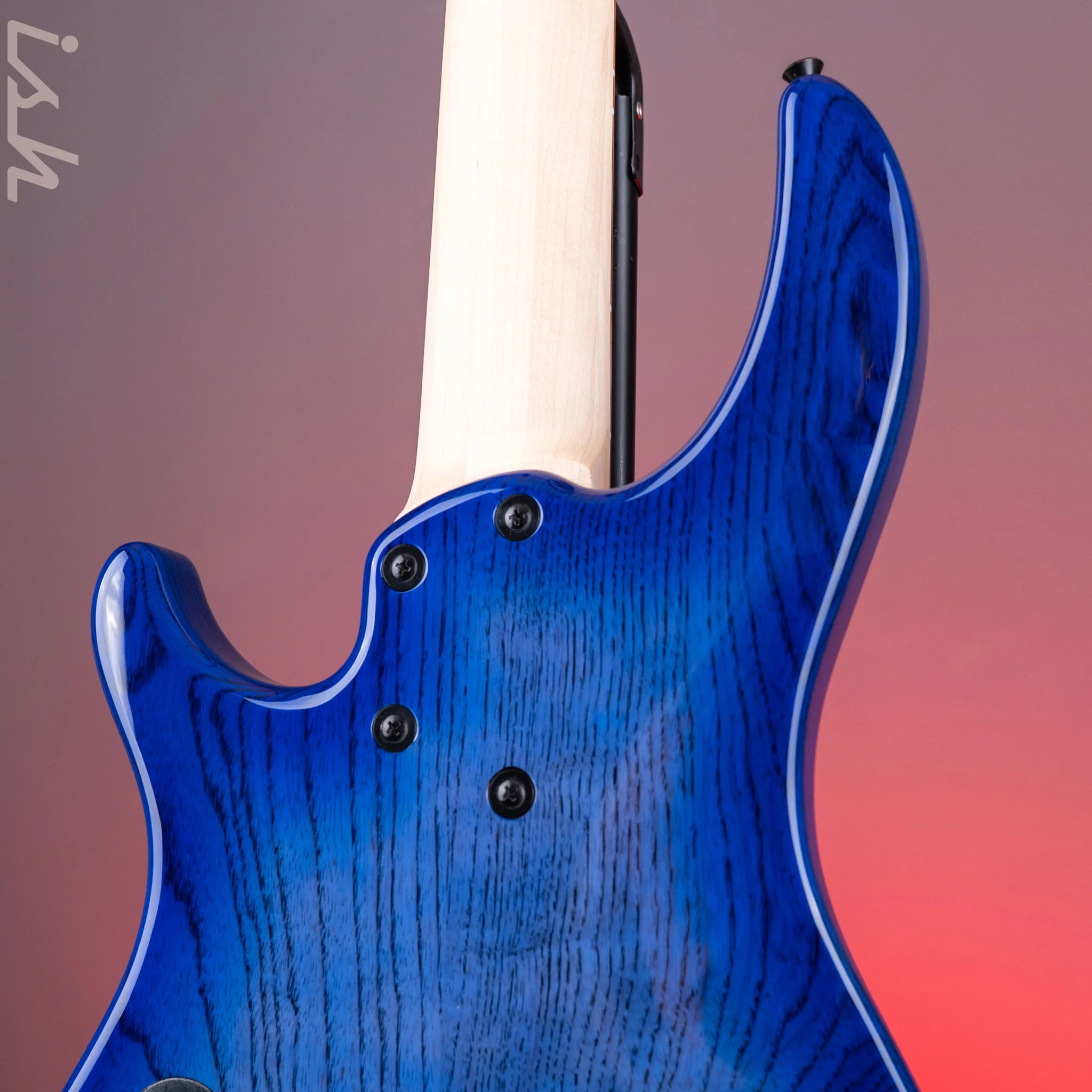 Dingwall Combustion 5-String Bass Indigoburst Pau Ferro Fretboard - Image 8