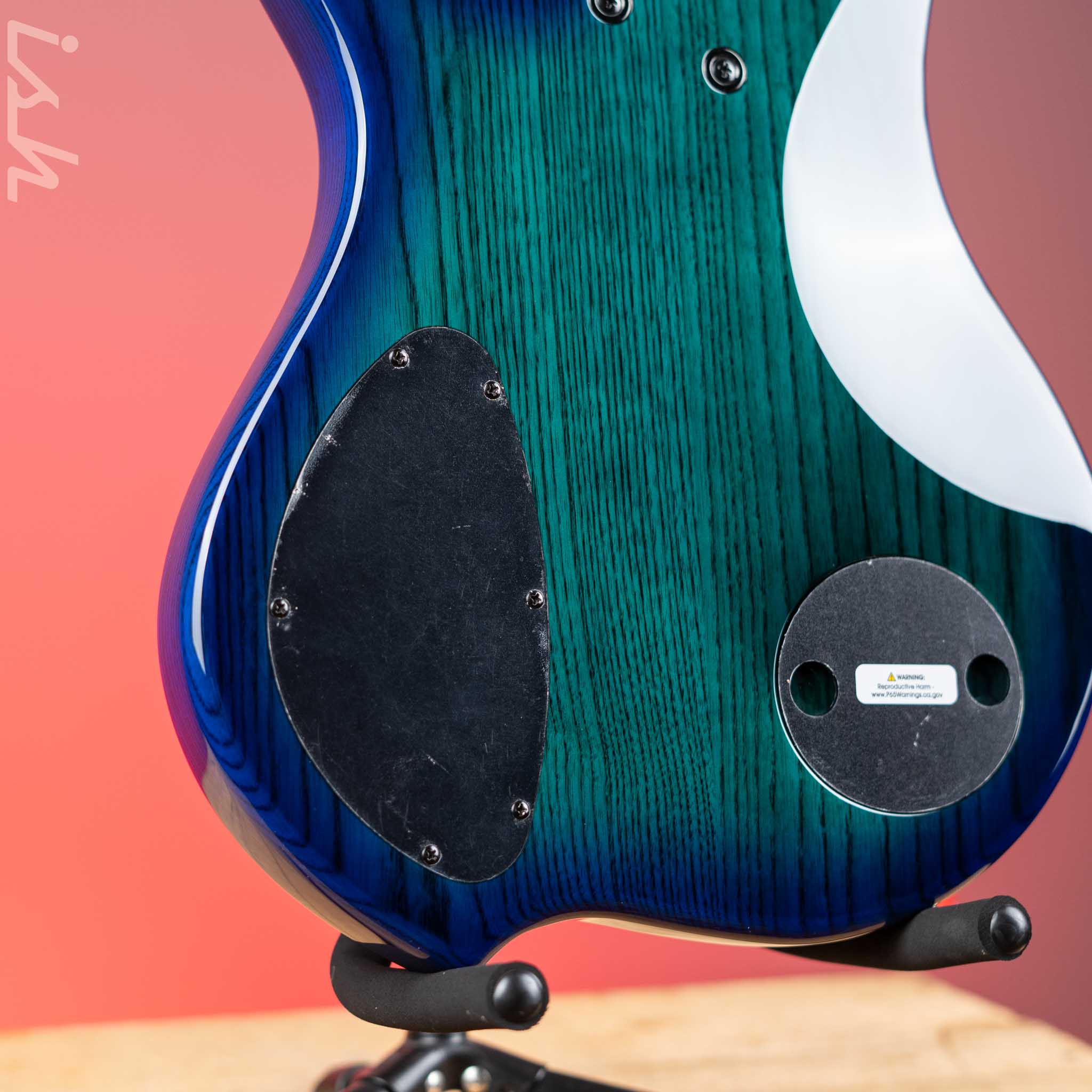 Dingwall Combustion 5-String Bass Whalepoolburst - Image 9