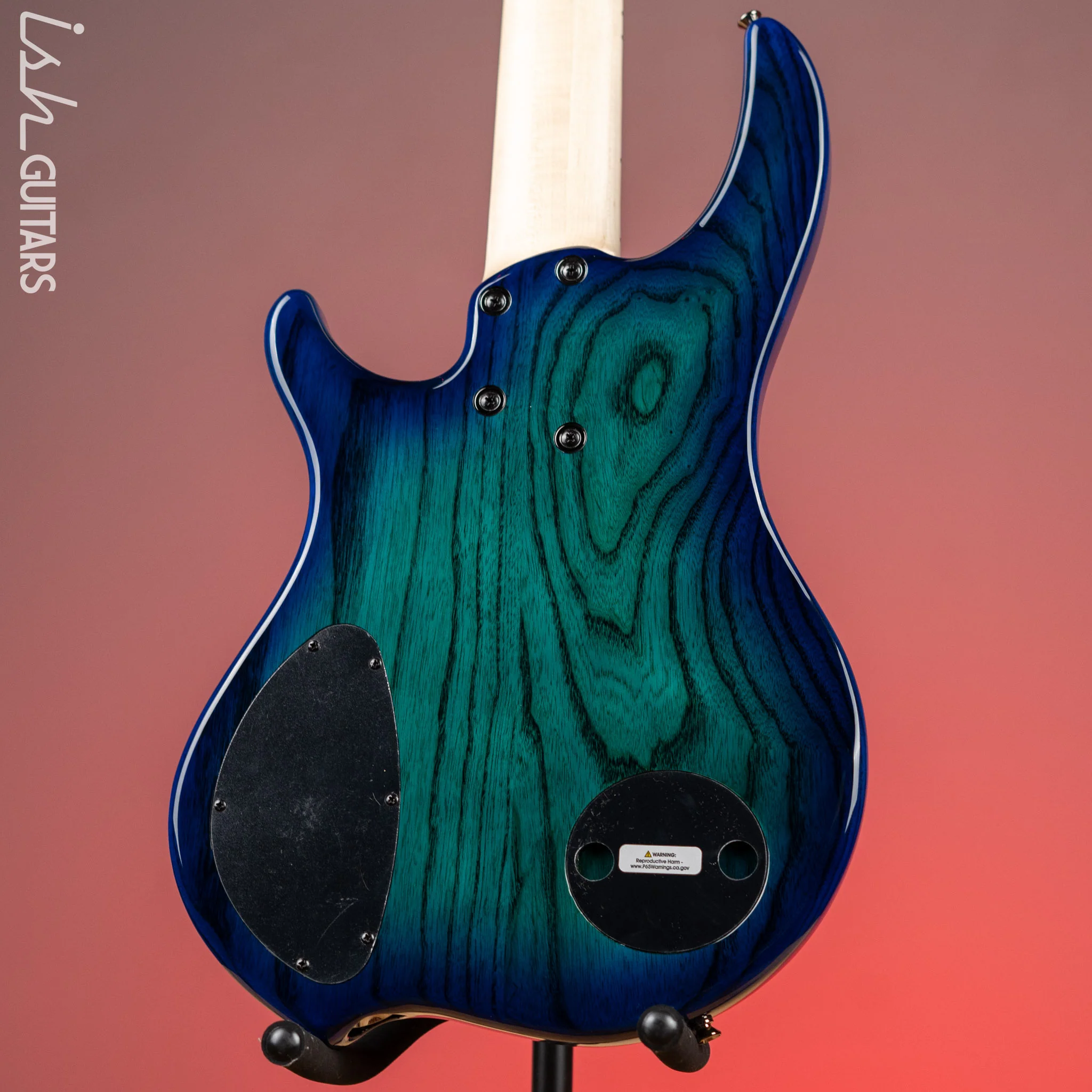 Dingwall Combustion 5-String Bass Whalepoolburst - Image 7