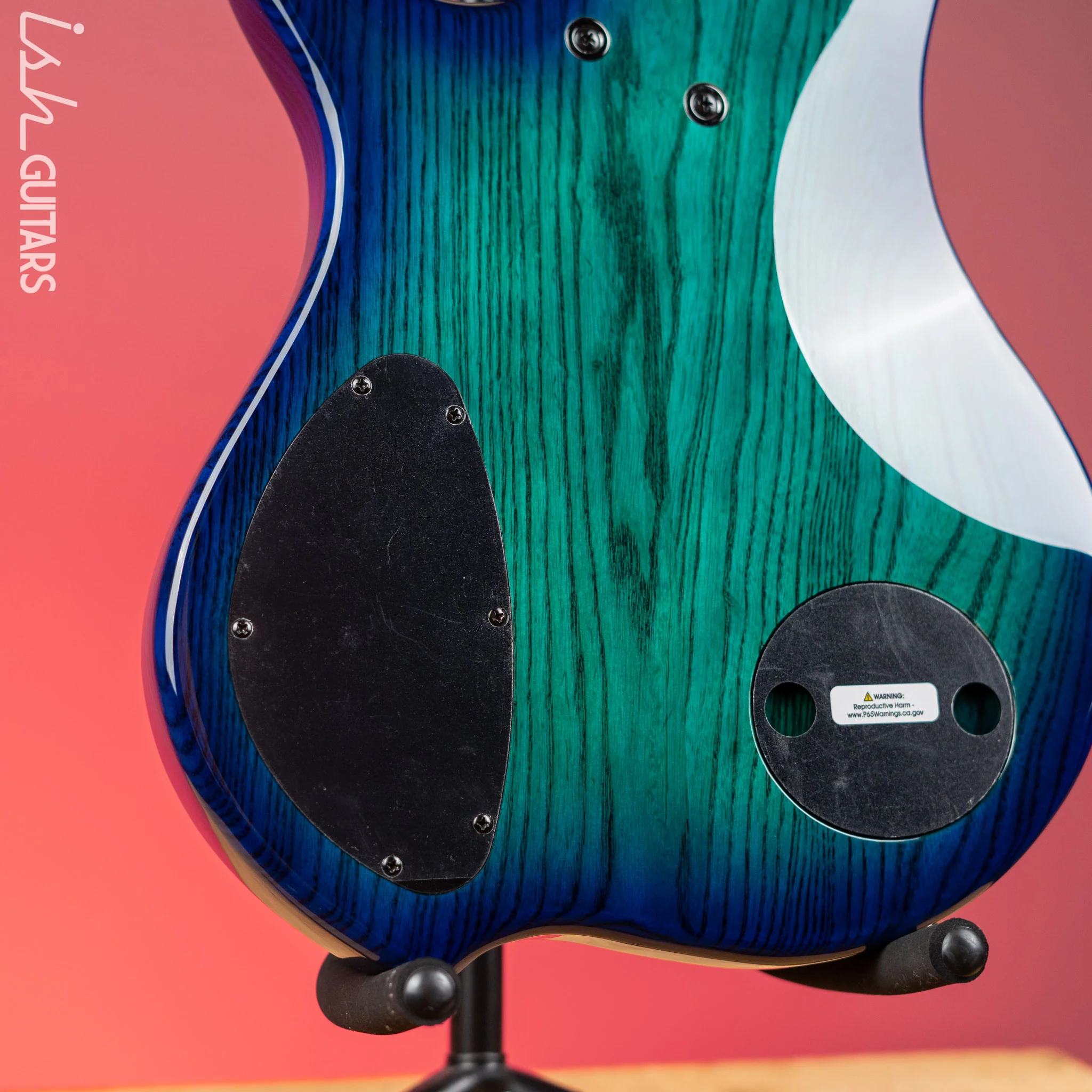 Dingwall Combustion 5-String Bass Whalepoolburst - Image 9