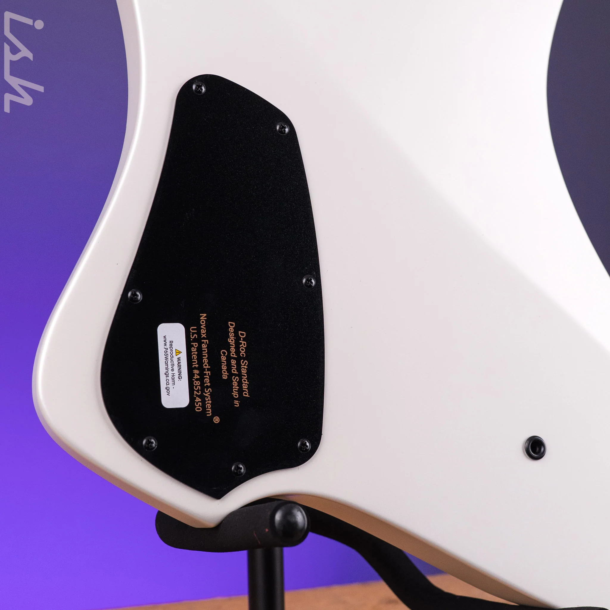 Dingwall D-Roc Standard 5-String Bass Ducati Pearl White - Image 10