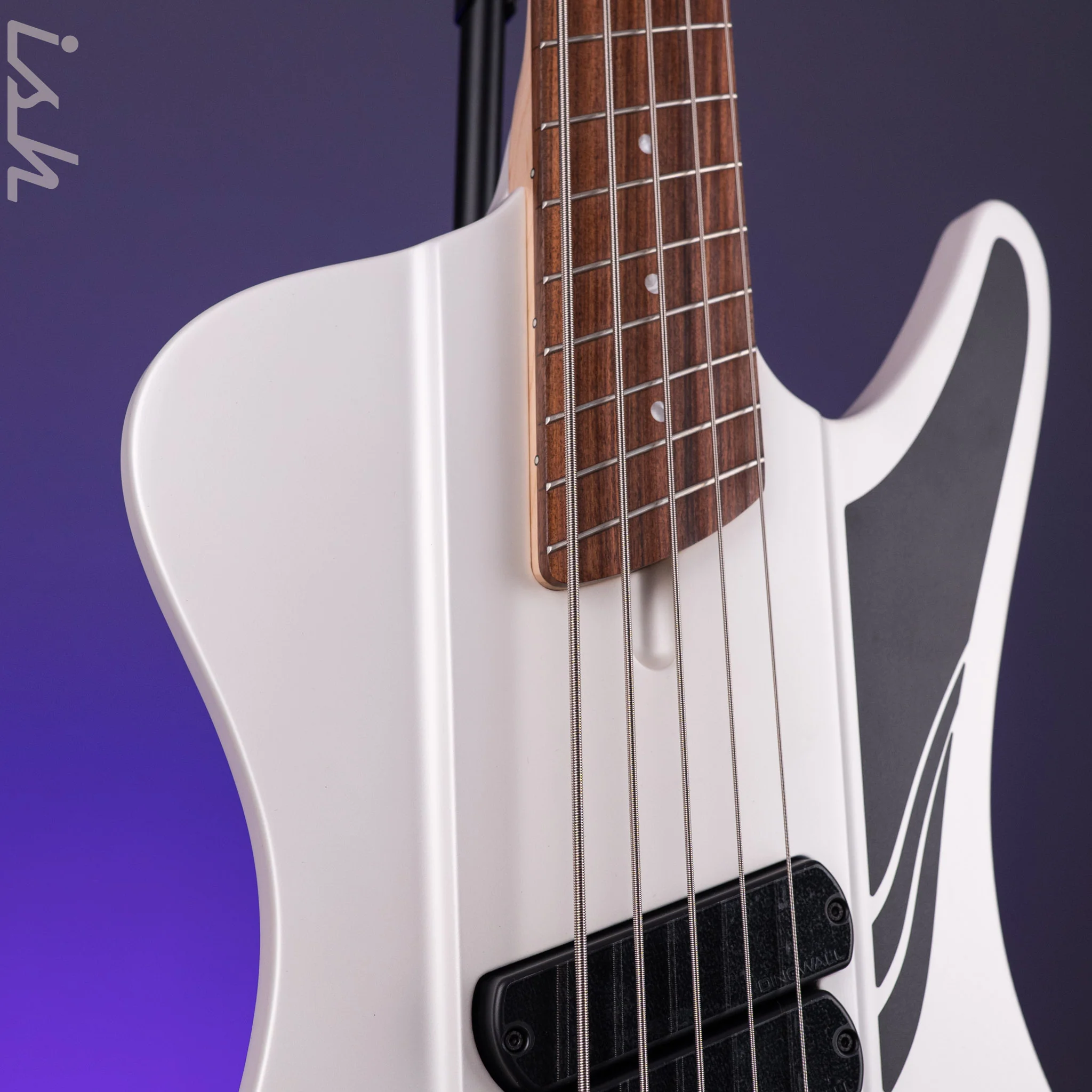 Dingwall D-Roc Standard 5-String Bass Ducati Pearl White - Image 4