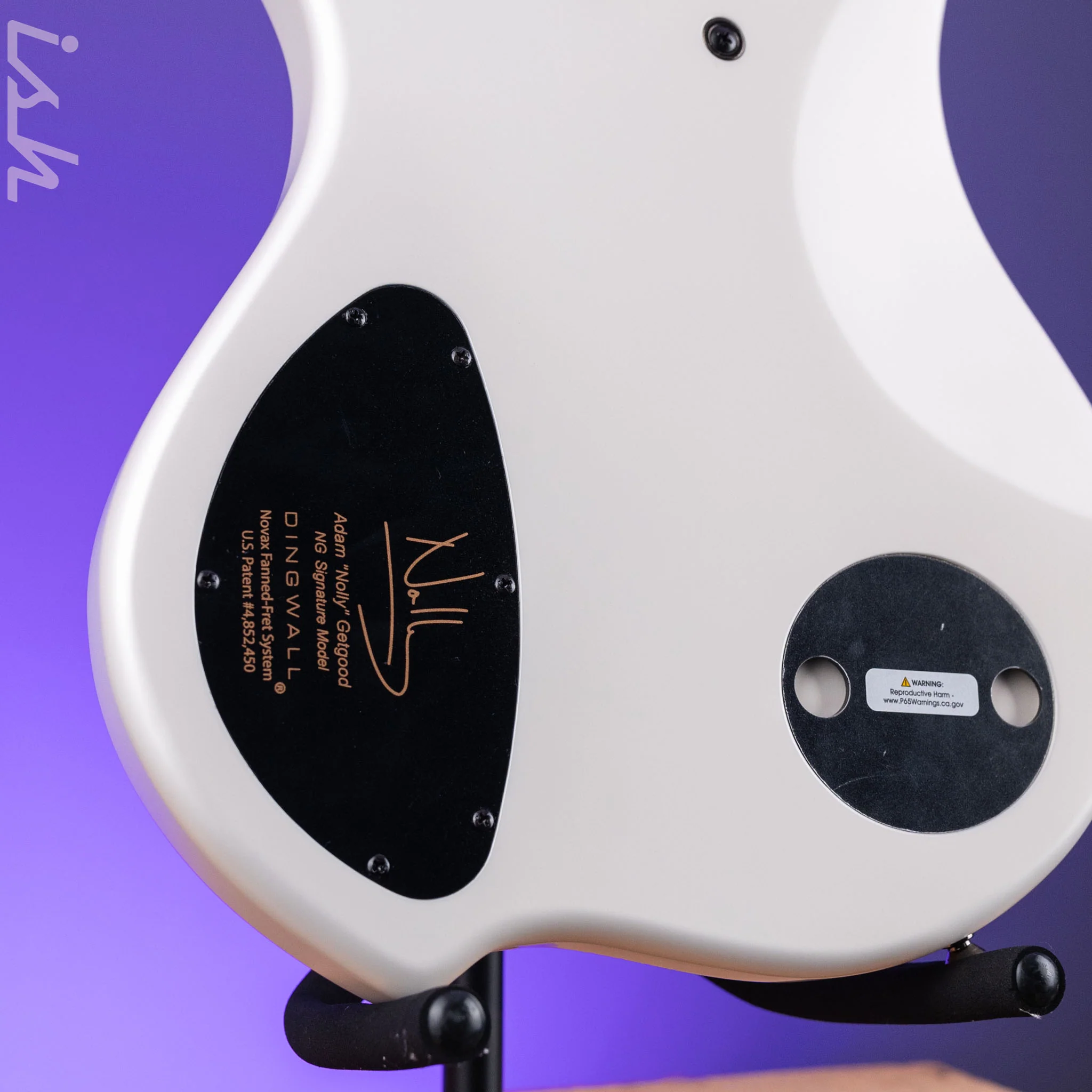 Dingwall NG-3 5-String Bass Matte Ducati Pearl White - Image 9