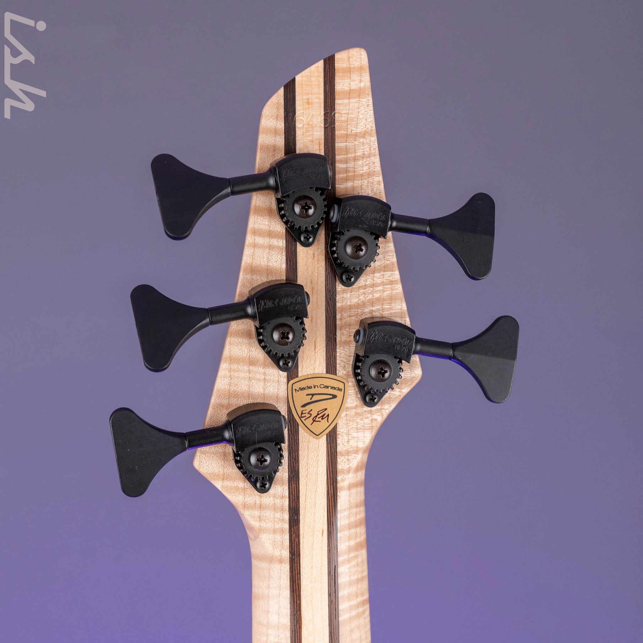 Dingwall Prima Artist Custom Shop 5-String Bass - Image 13