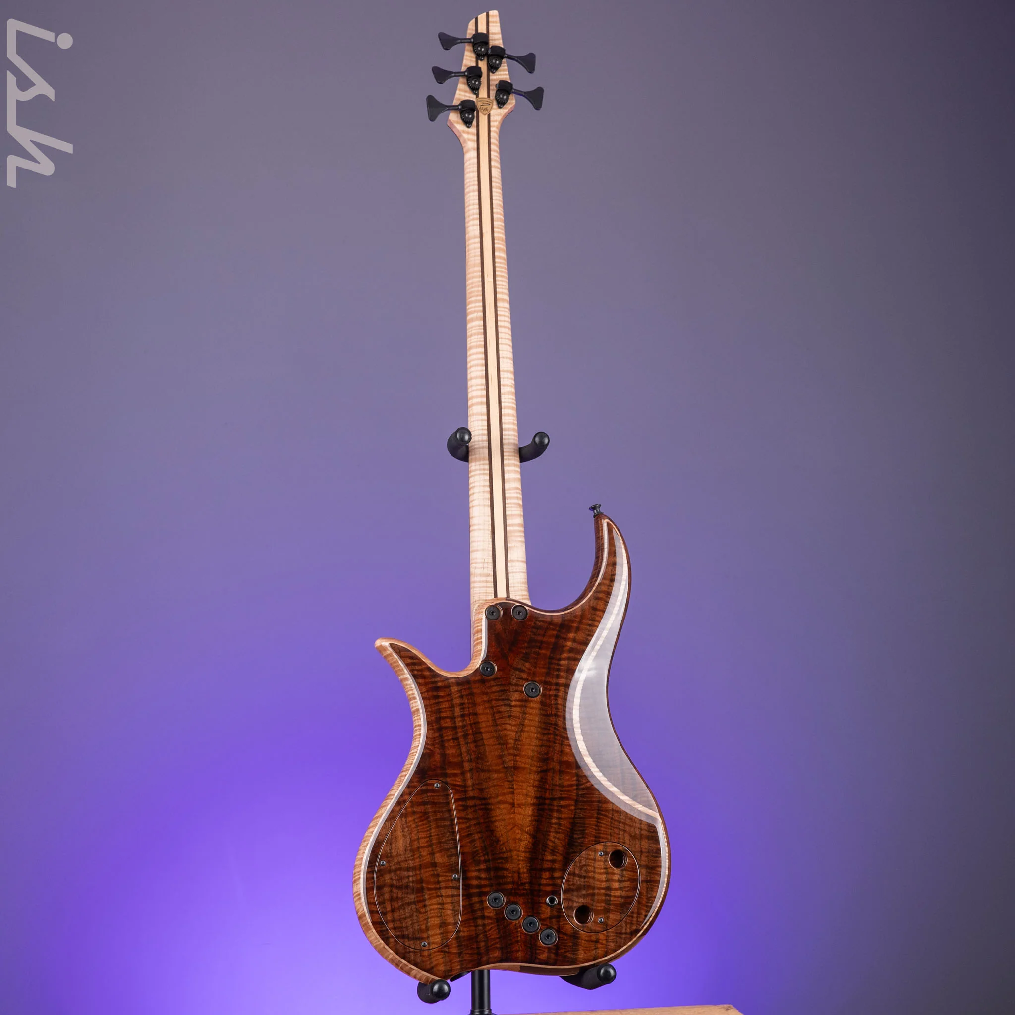 Dingwall Prima Artist Custom Shop 5-String Bass - Image 9