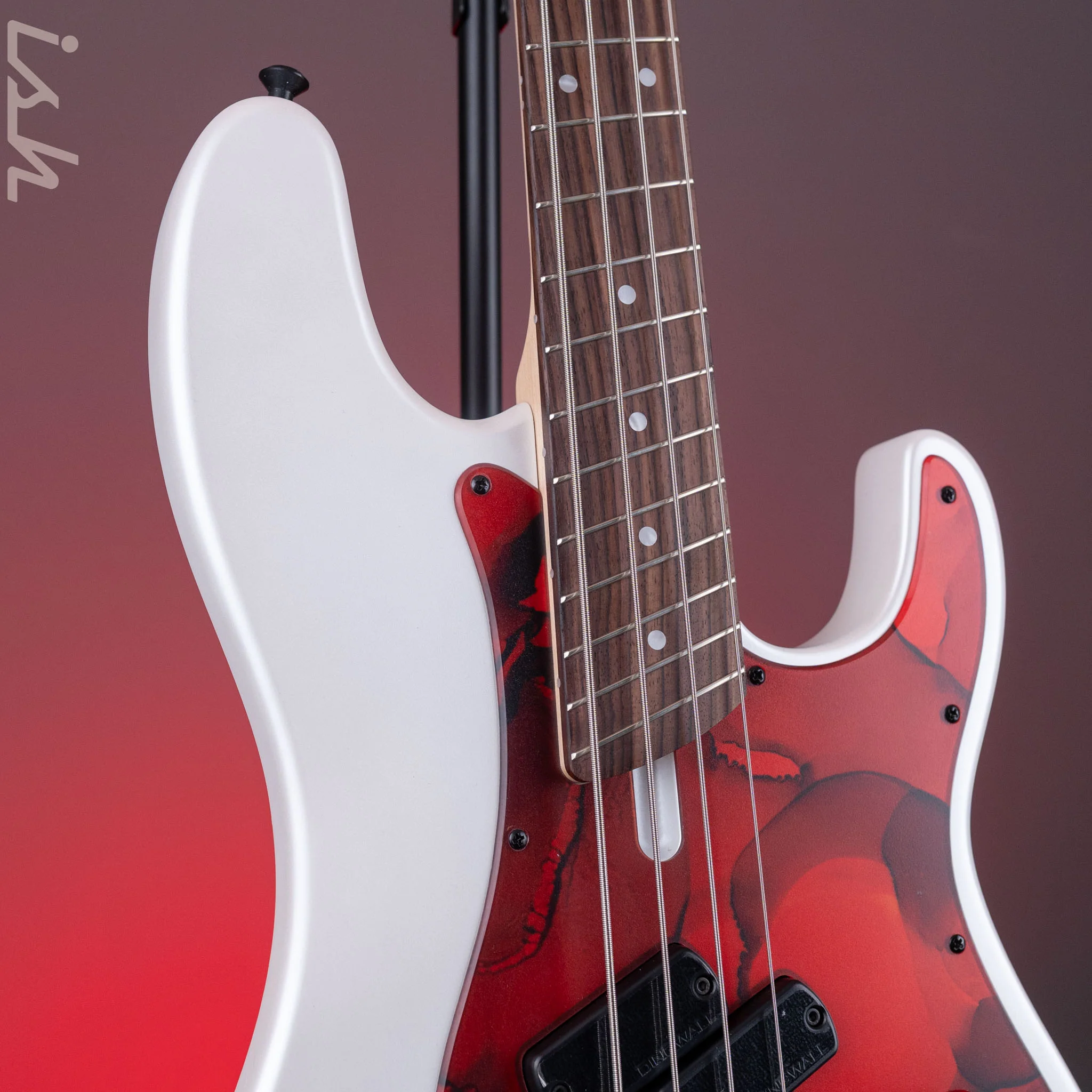 Dingwall SP1 4-String Bass Matte Ducati Pearl White - Image 4