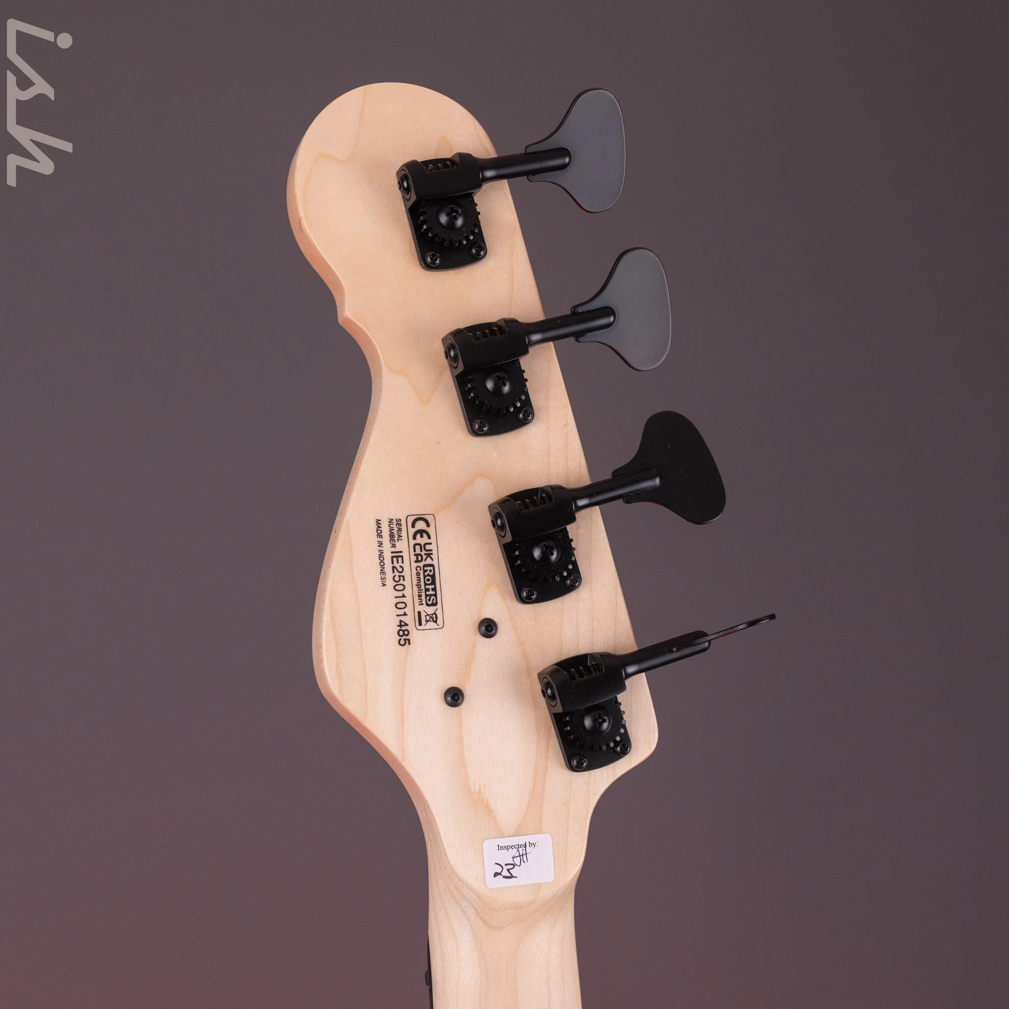Dingwall SP1 4-String Bass Matte Ducati Pearl White - Image 11