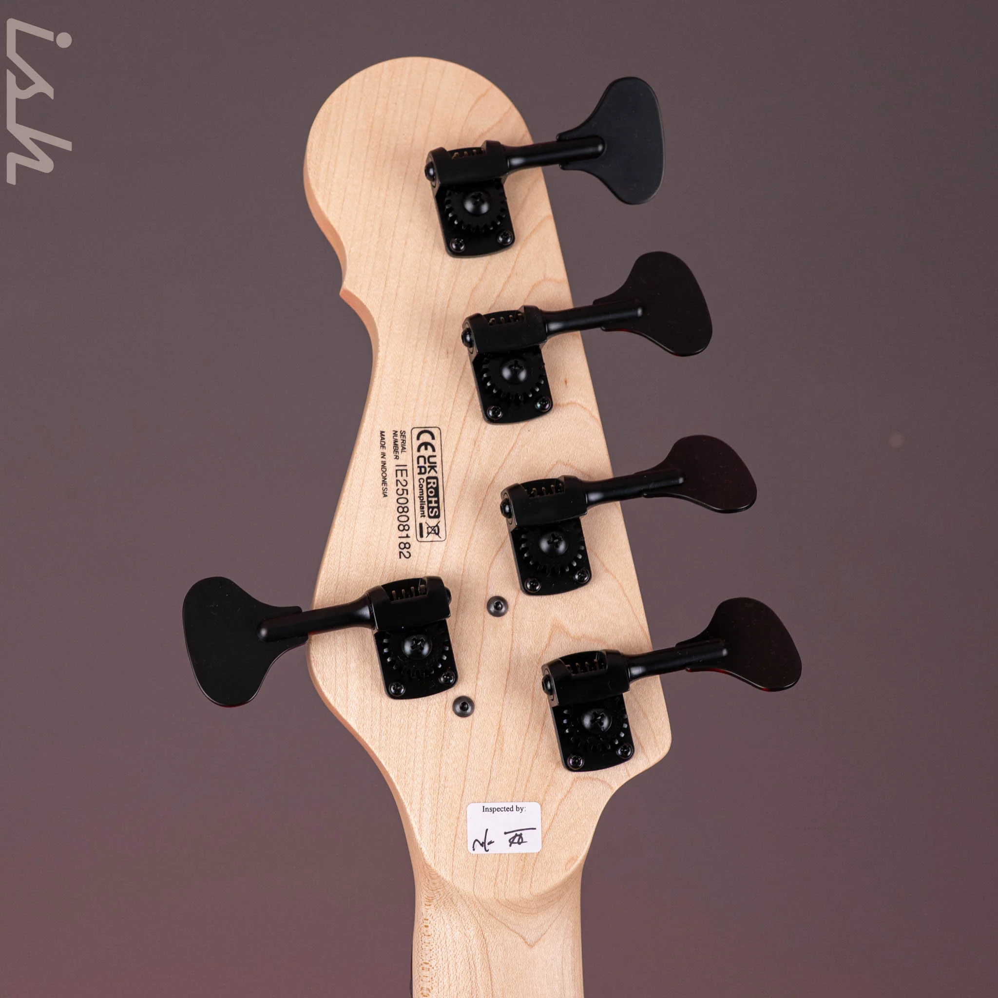 Dingwall SP1 5-String Bass Ducati White - Image 11