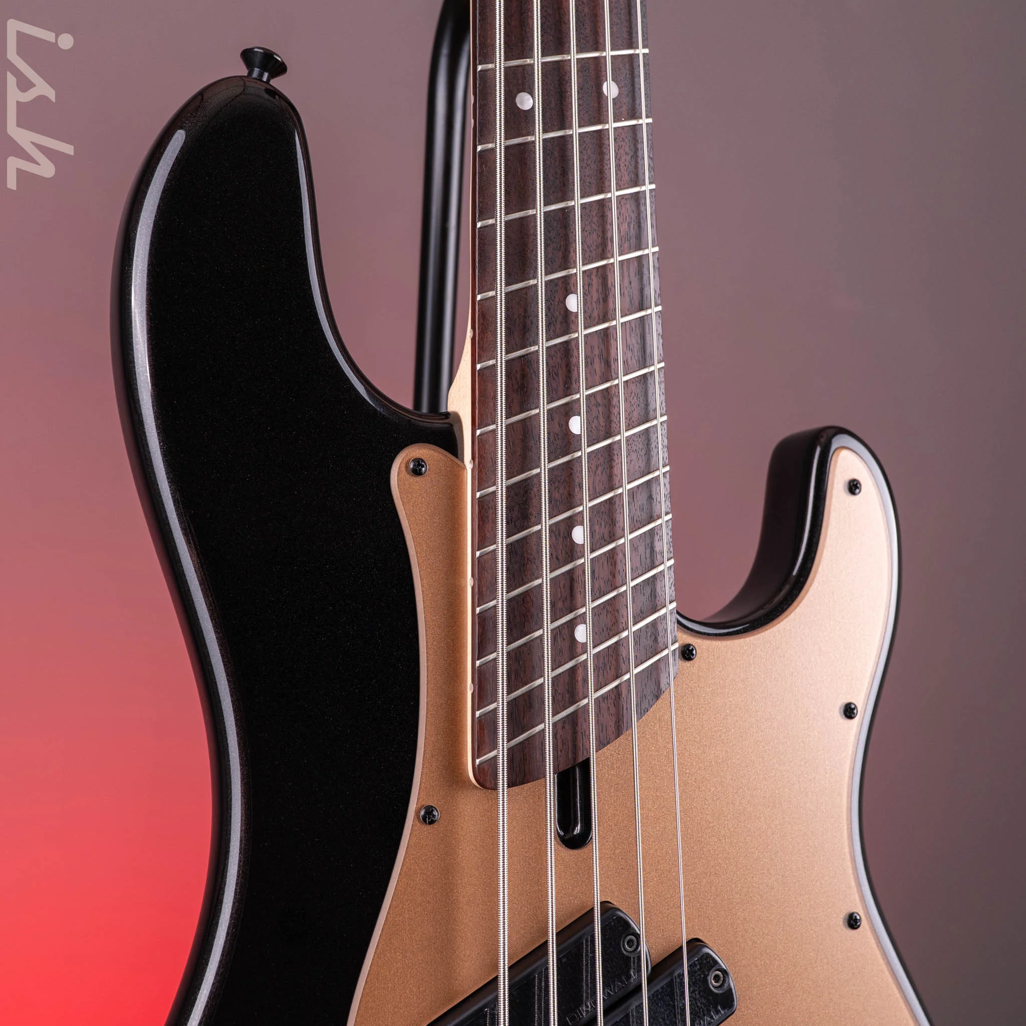 Dingwall SP1 5-String Bass Gloss Metallic Black - Image 4