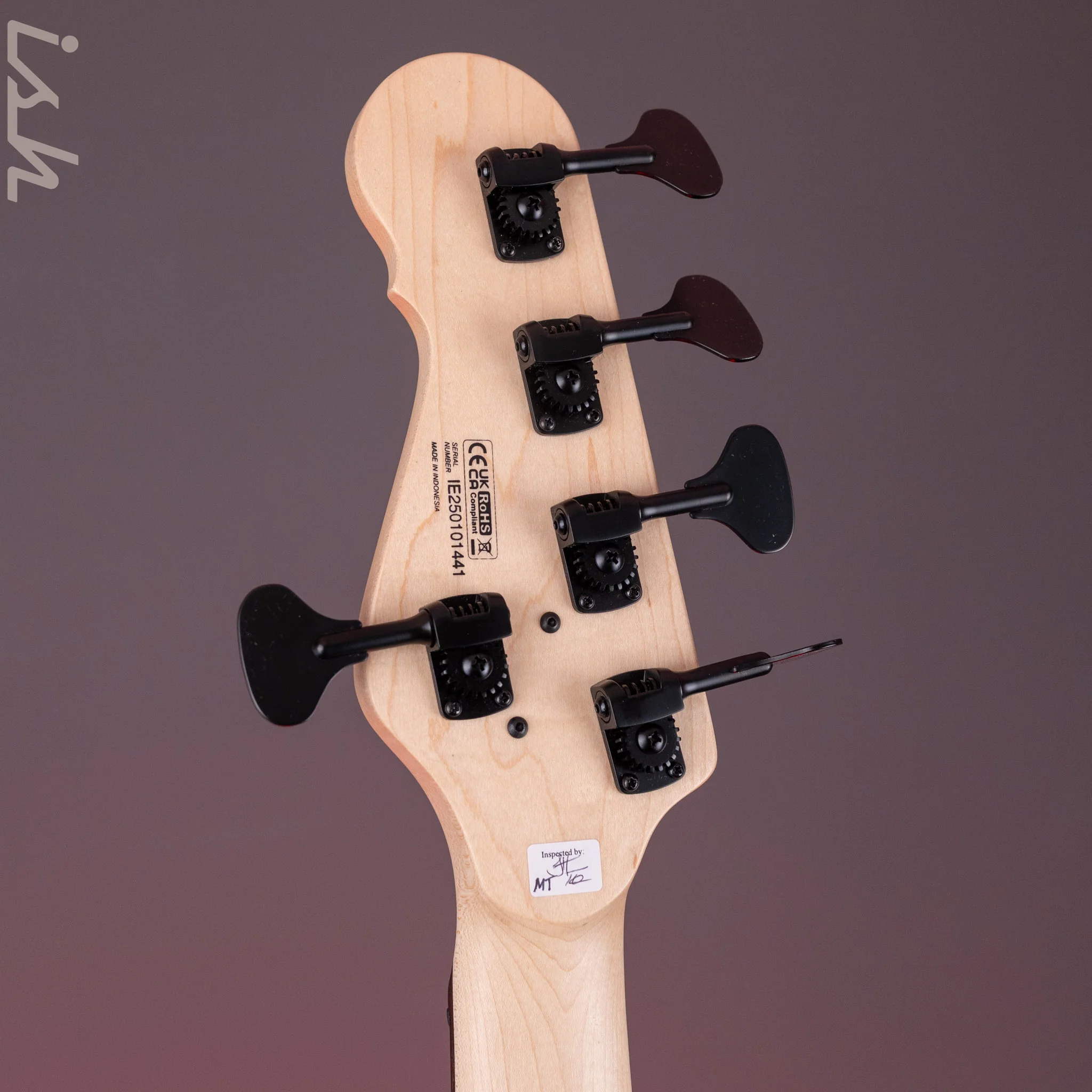 Dingwall SP1 5-String Bass Matte Ducati Pearl White - Image 11
